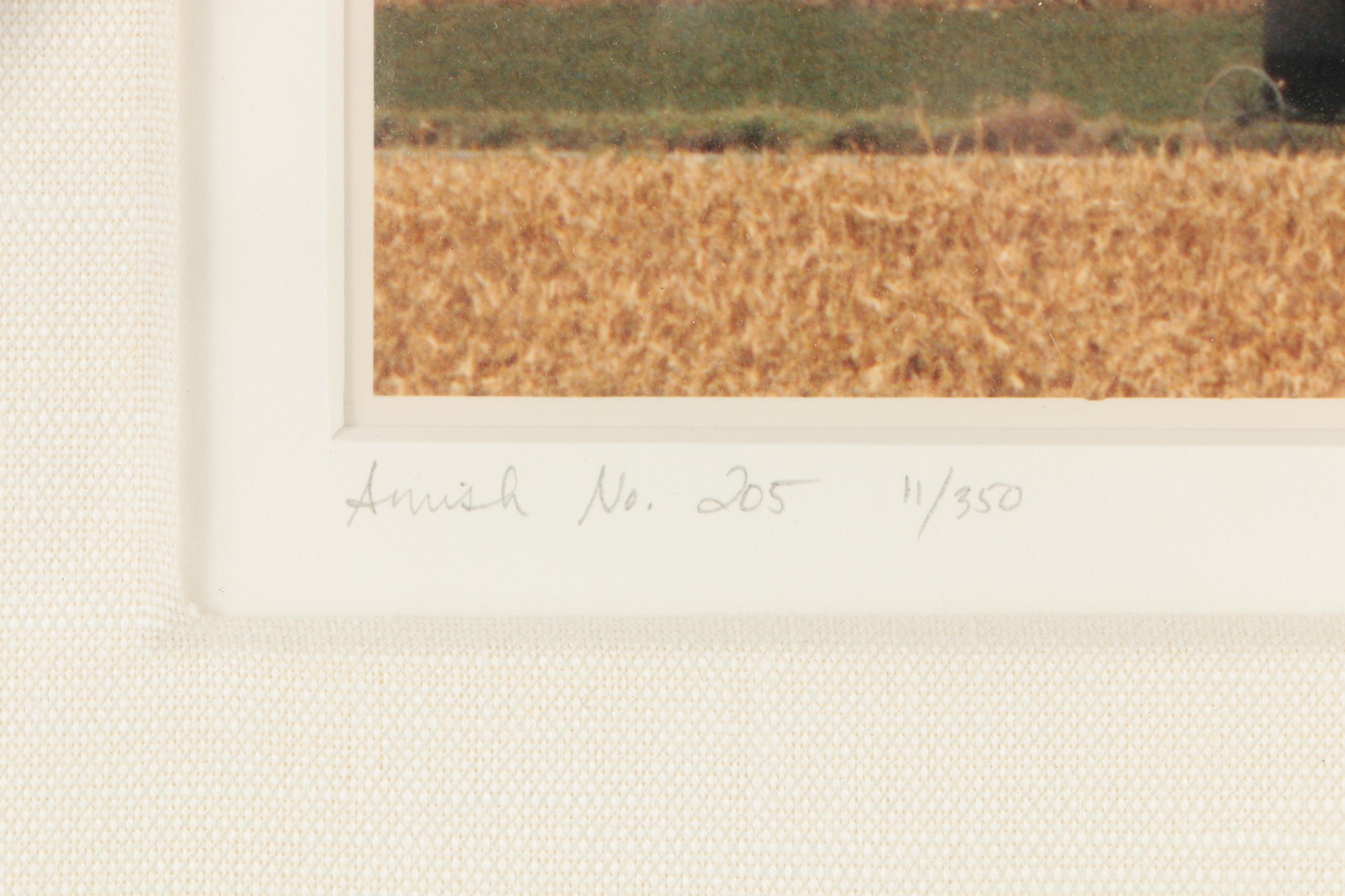 Bill Coleman Digital Photographs From "Amish" Series