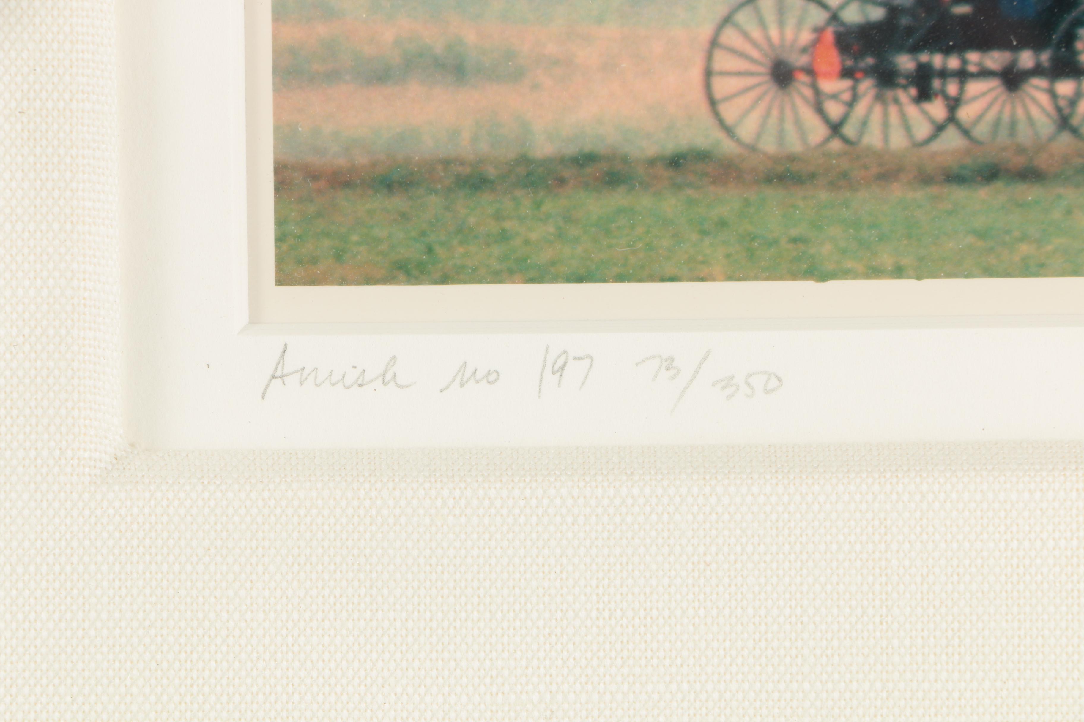 Bill Coleman Digital Photographs From "Amish" Series