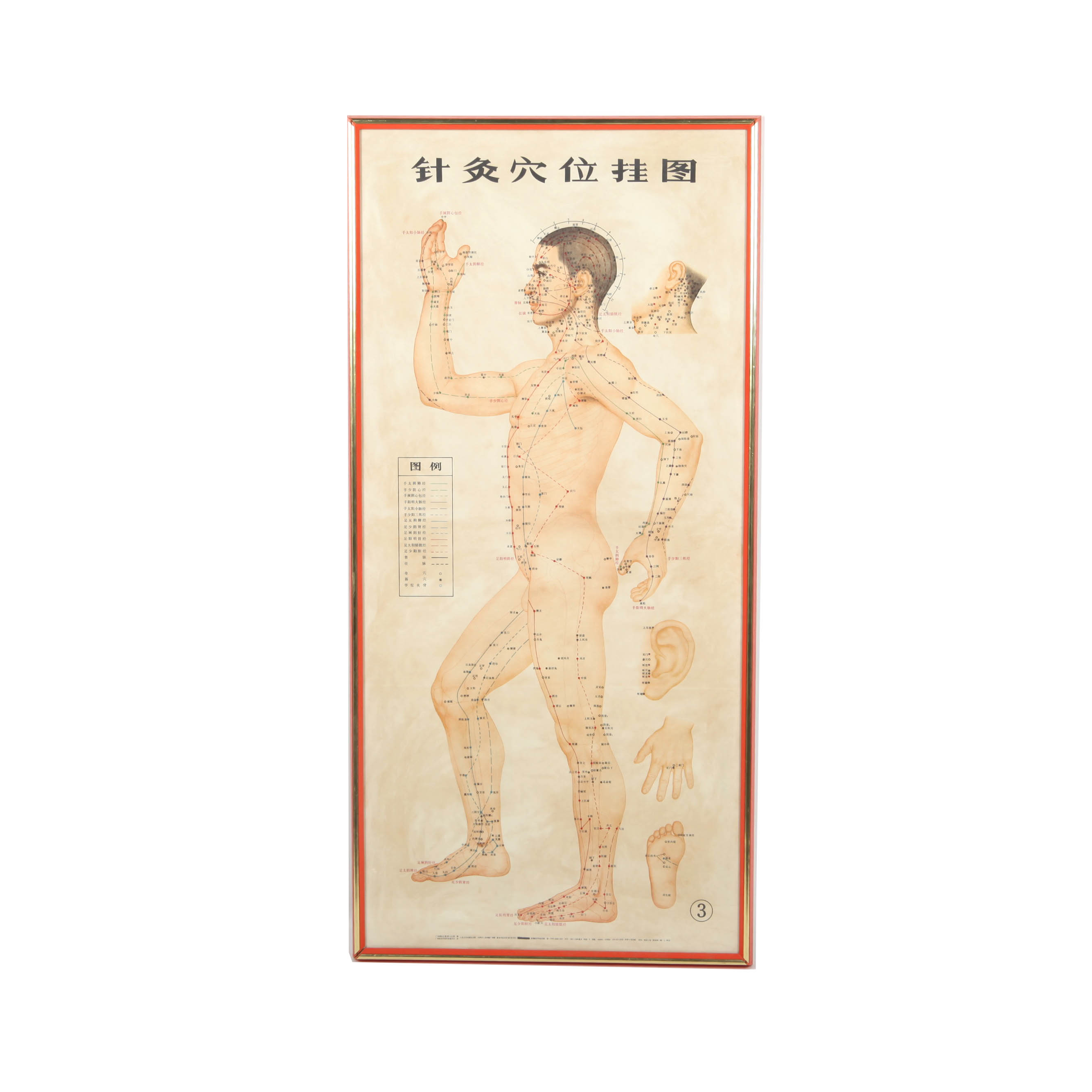 Traditional Acupuncture Site Diagram