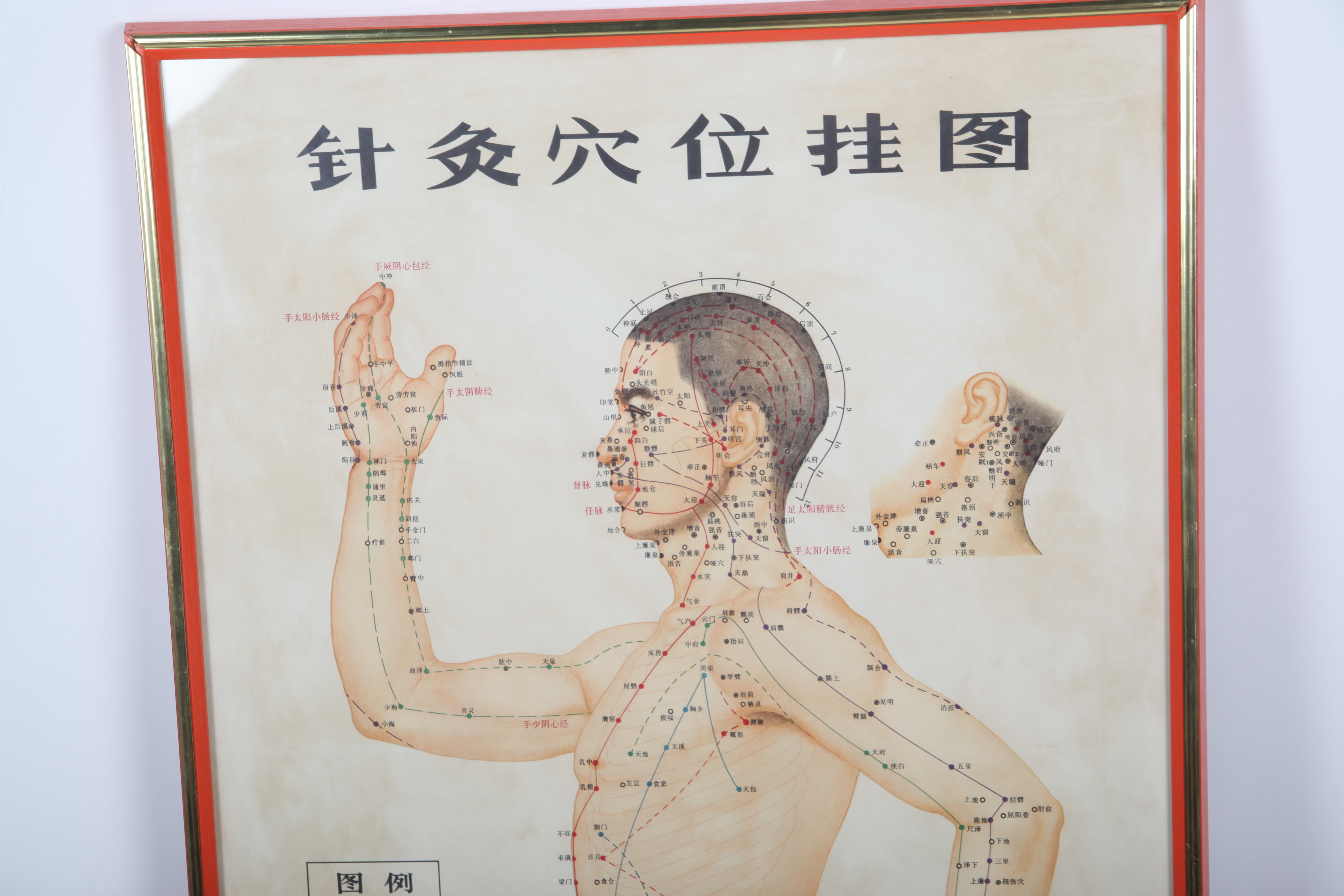 Traditional Acupuncture Site Diagram