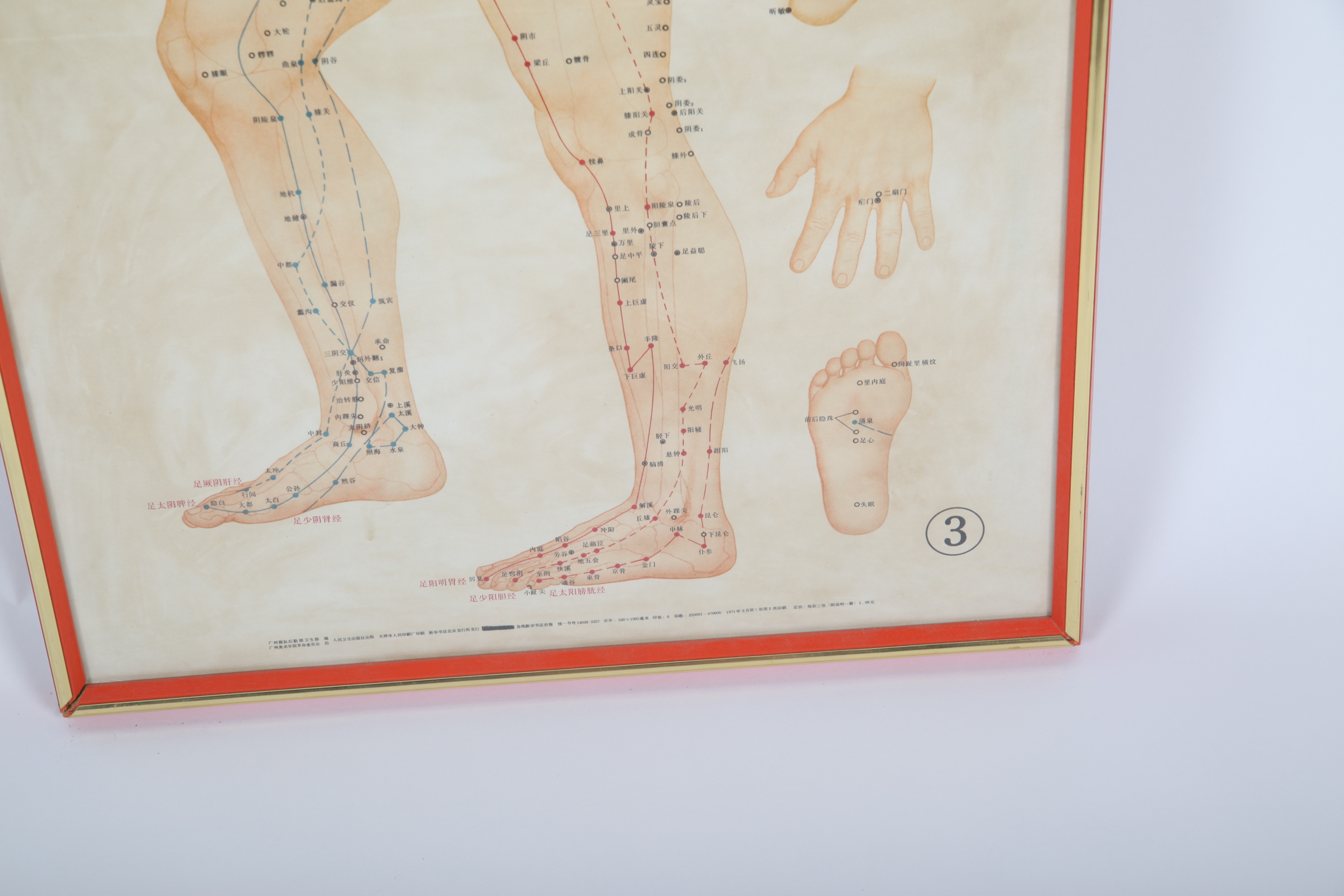 Traditional Acupuncture Site Diagram