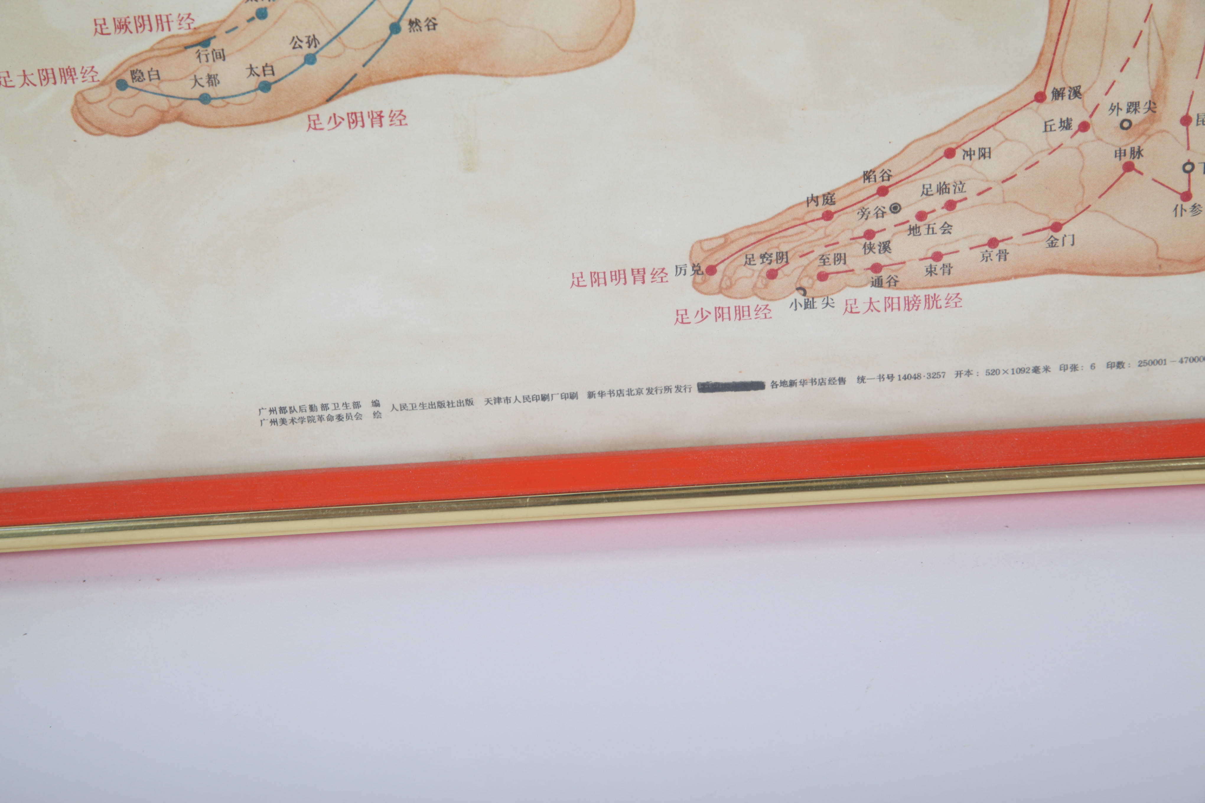 Traditional Acupuncture Site Diagram