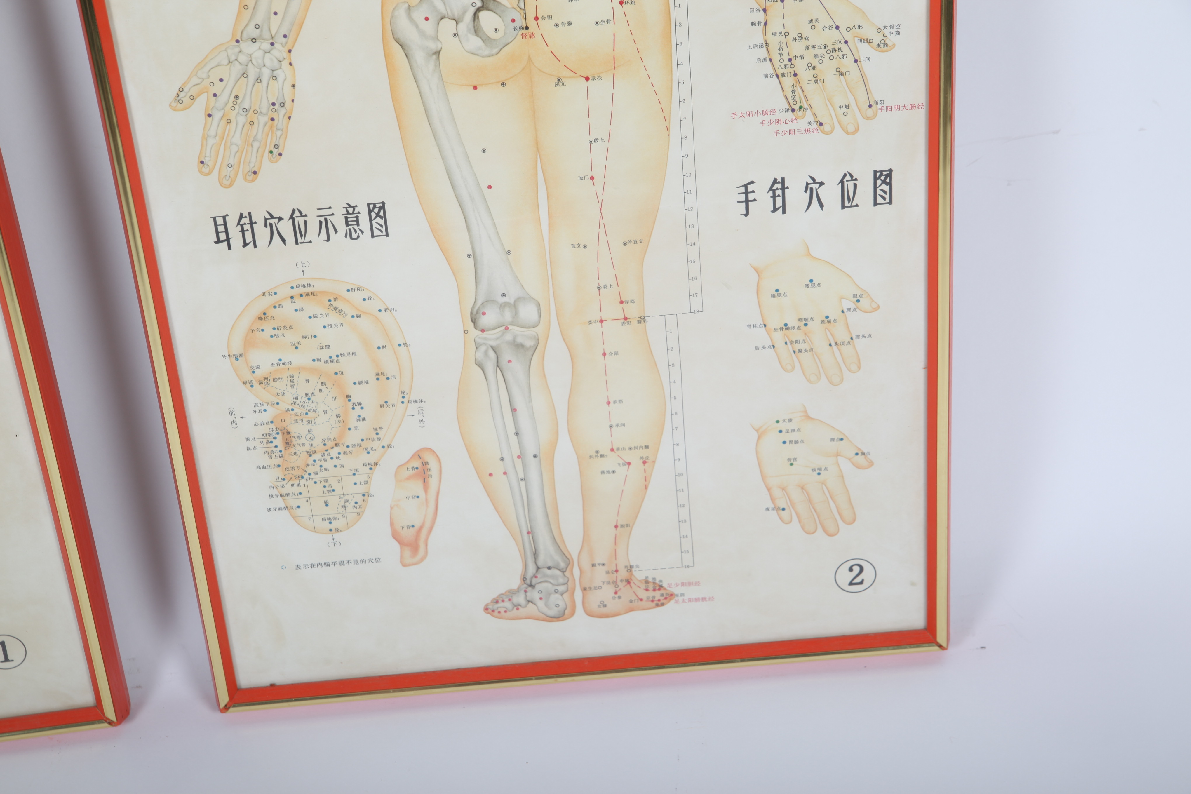 Offset Lithographs After Chinese Anatomical Acupuncture Diagrams