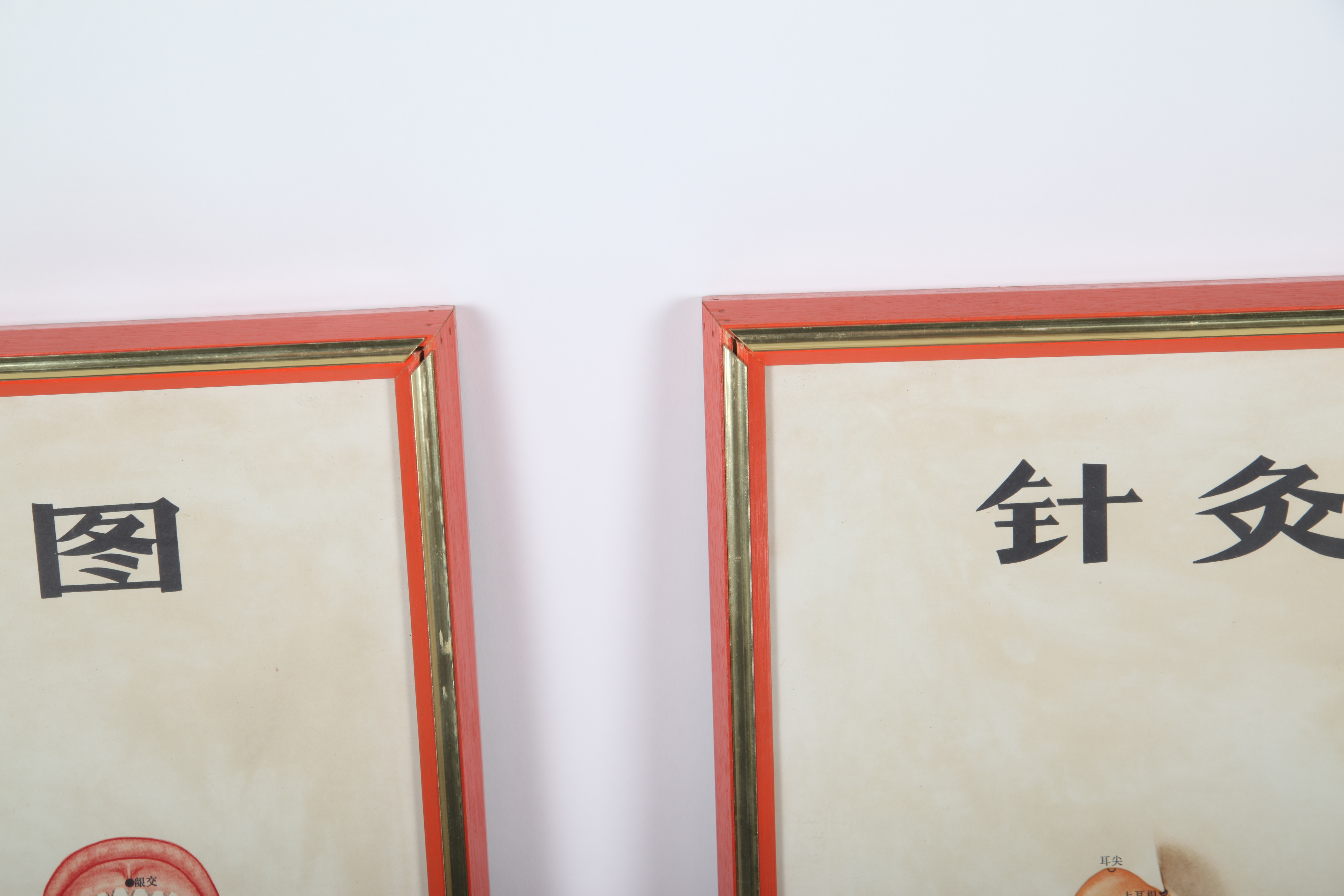 Offset Lithographs After Chinese Anatomical Acupuncture Diagrams