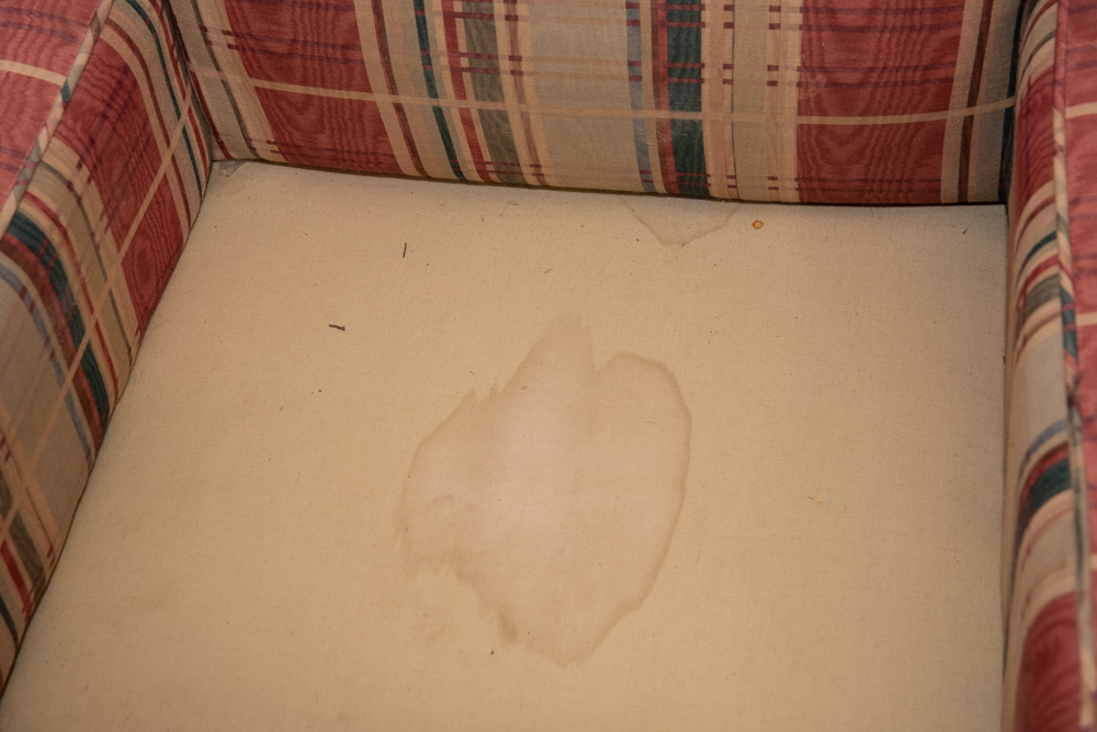 Upholstered Armchair with Matching Bench