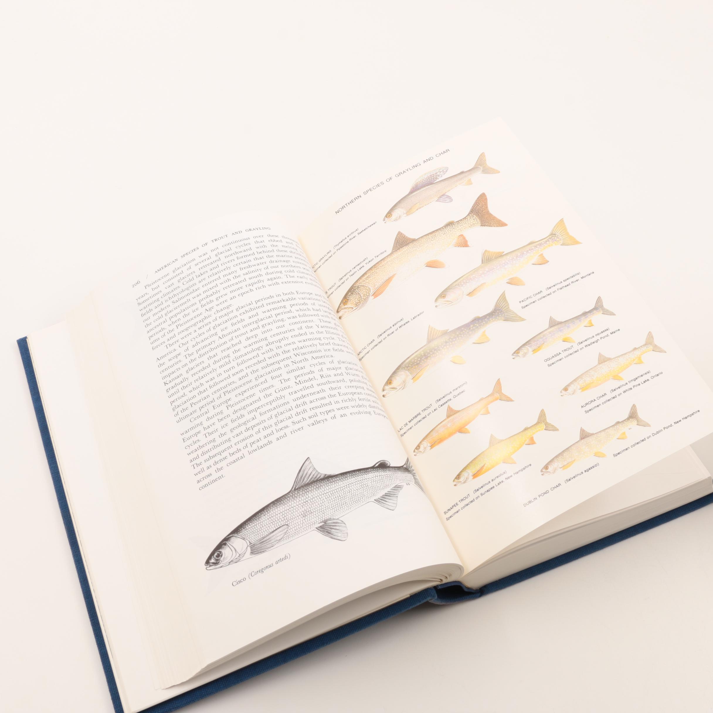 Two-Volume Signed Limited First Edition "Trout" by Ernest Schwiebert