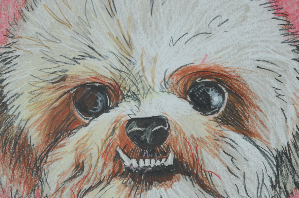 Ross Hayes Original Mixed Media Drawing "Little Dog"