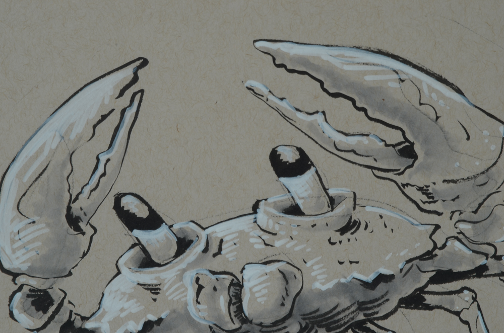 Ross Hayes Original Mixed Media Drawing of a Crab
