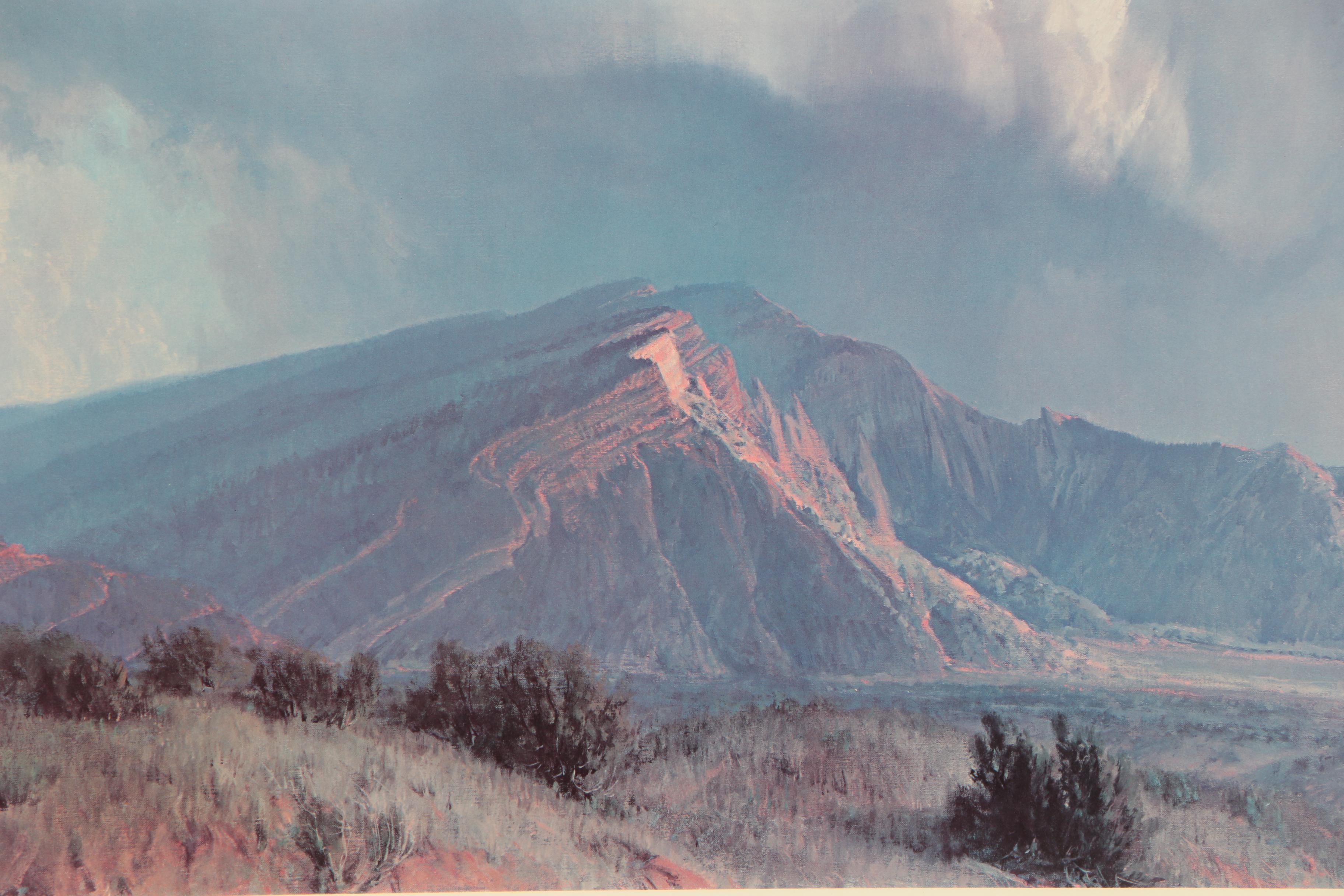 Wilson Hurley Limited Edition Offset Lithographic Landscape Print