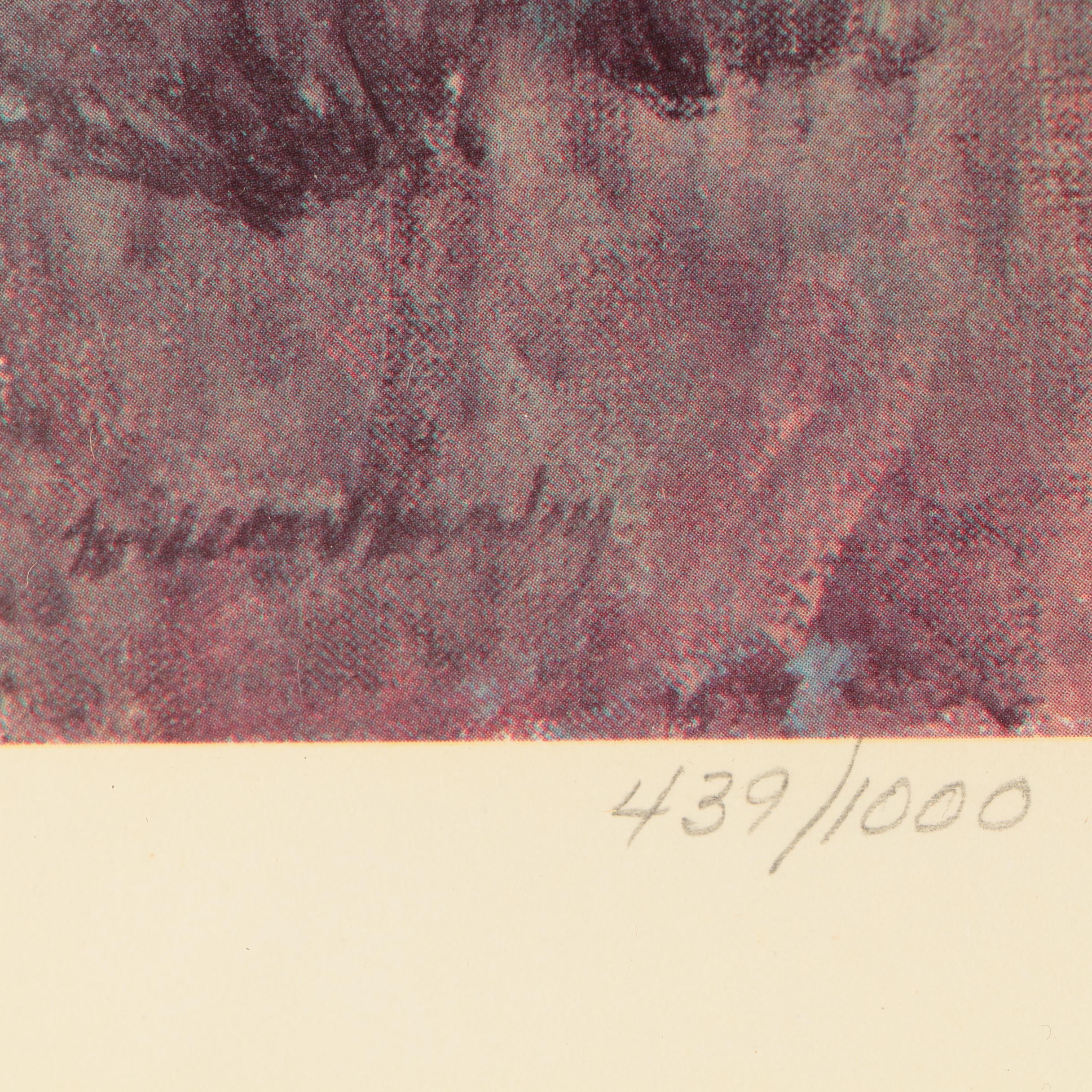 Wilson Hurley Limited Edition Offset Lithographic Landscape Print