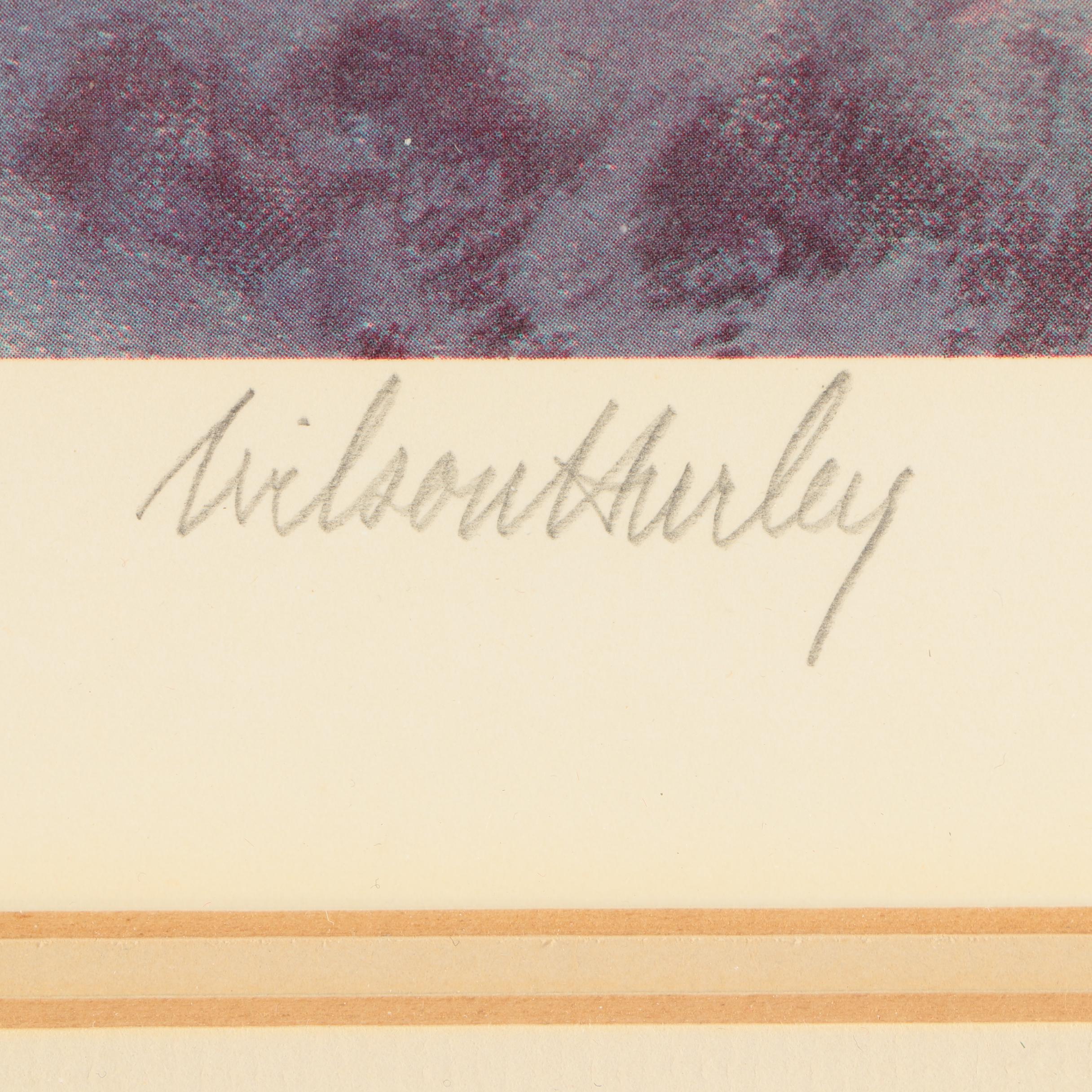 Wilson Hurley Limited Edition Offset Lithographic Landscape Print