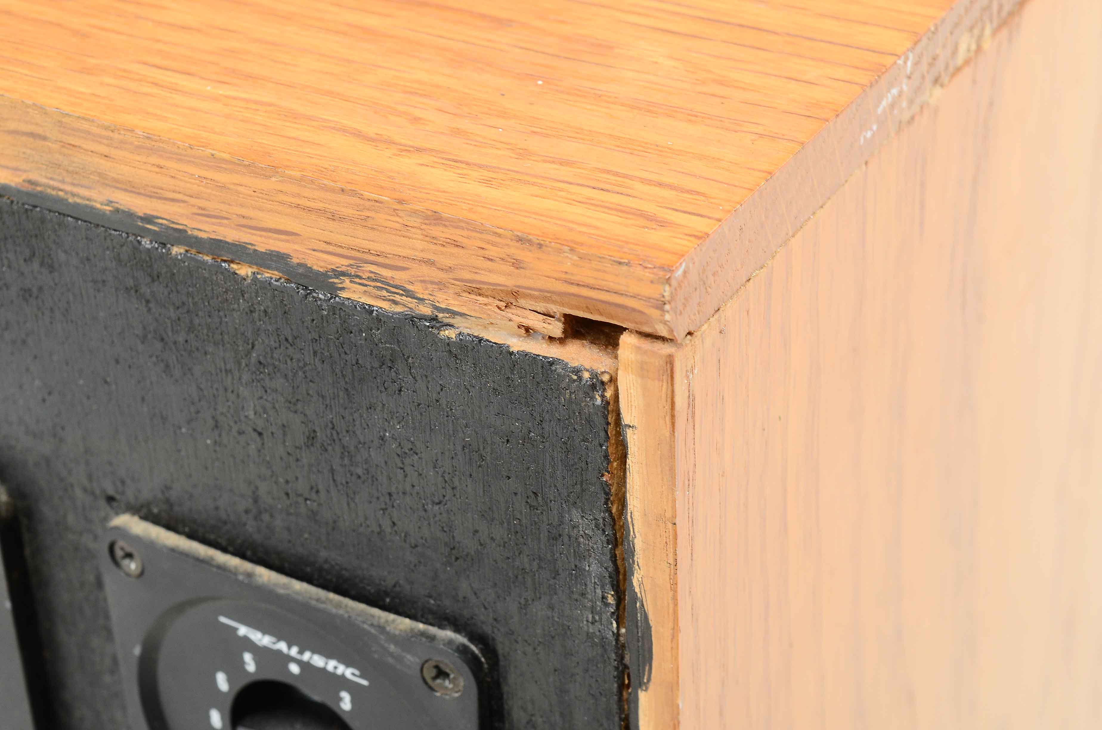 Vintage "Realistic" Floor Speaker