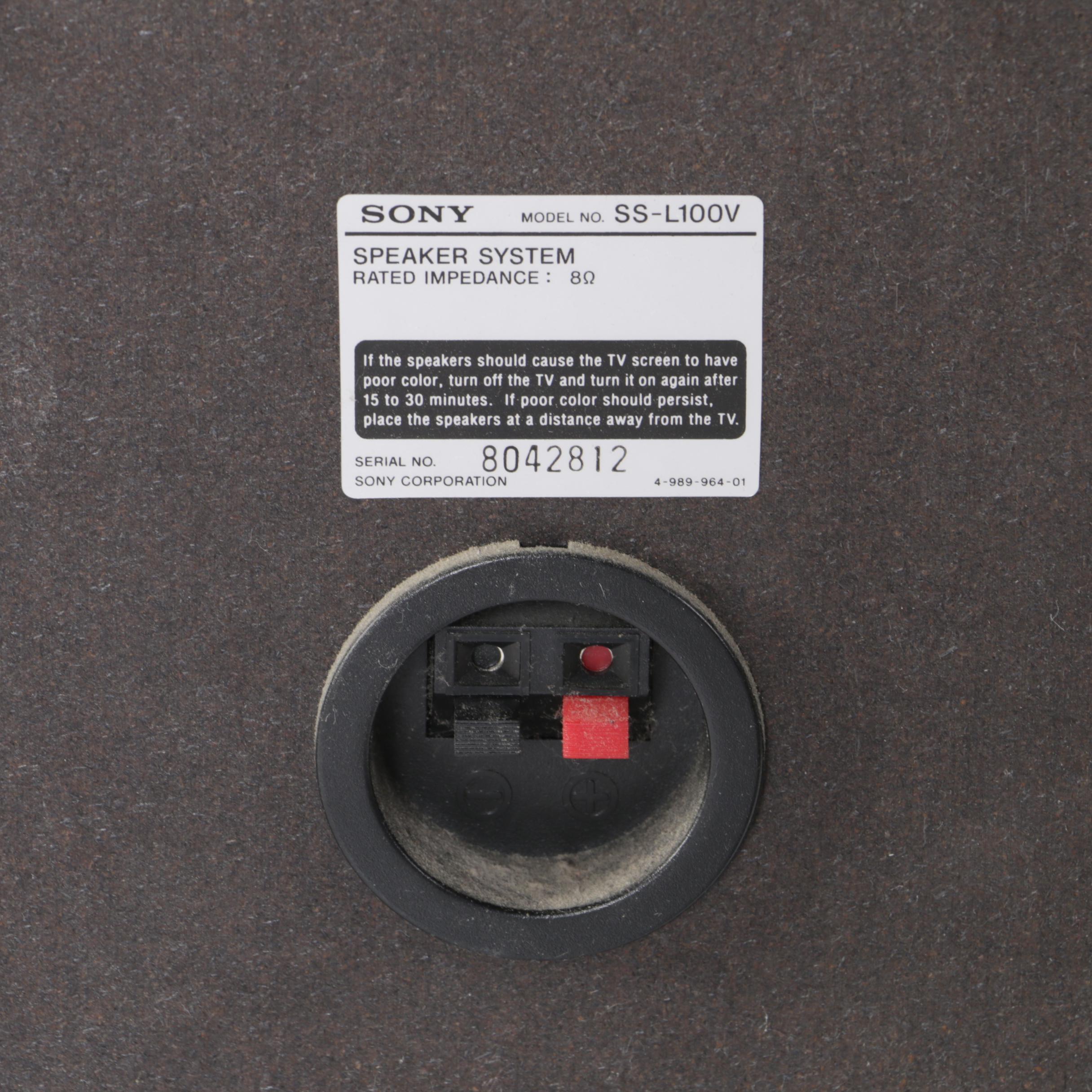 Sony Surround Sound Speakers with Stands