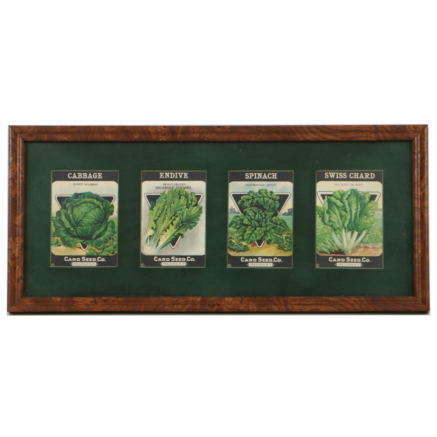 Early 20th-Century Card Seed Co. Chromolithograph Seed Packets