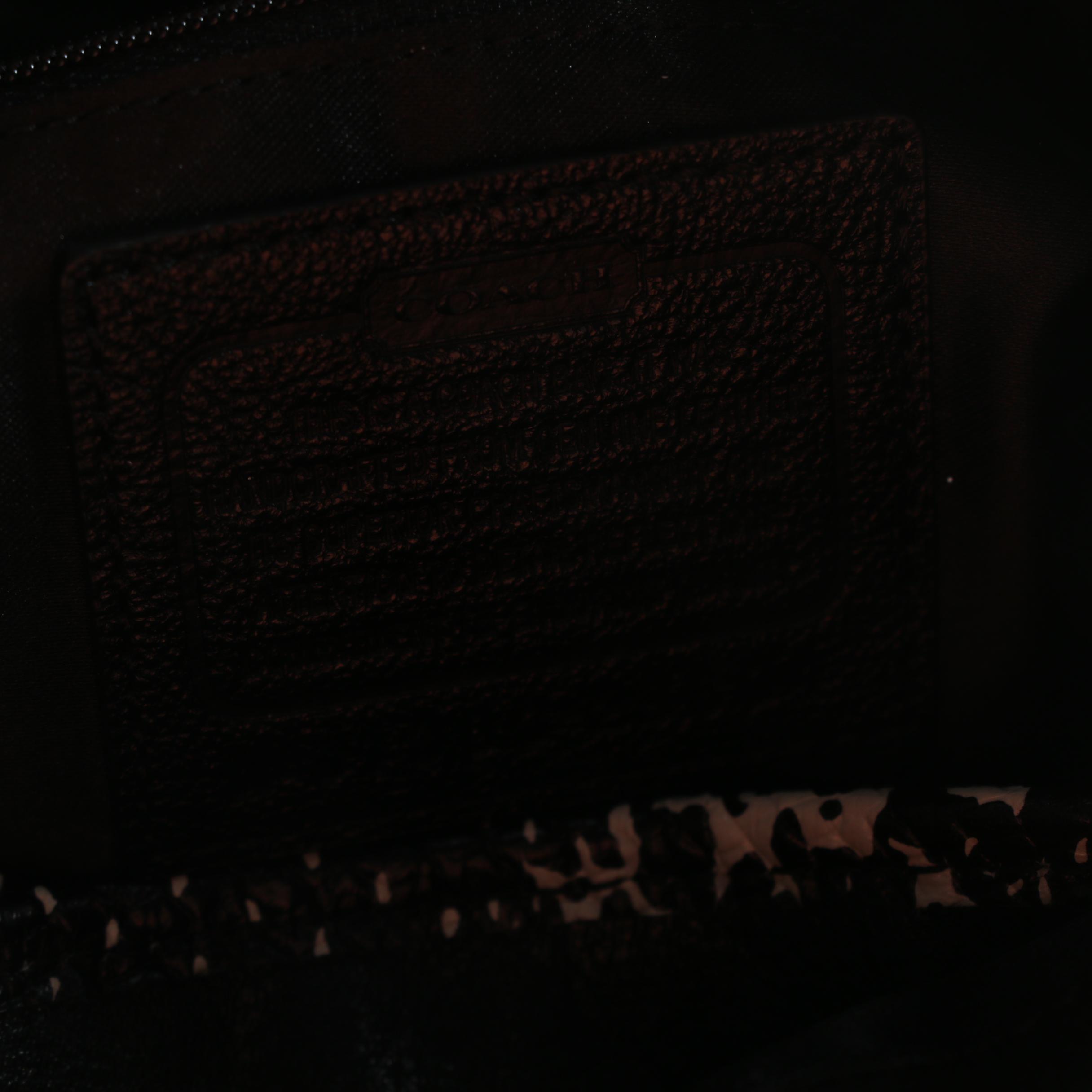 Coach Lexy Shoulder Bag