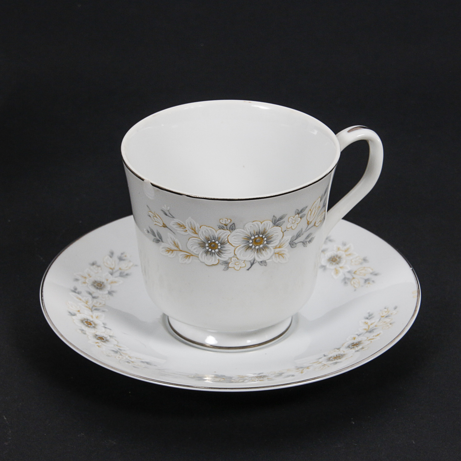 Seventy Seven Piece Collection of Carlton China "Andover" Dinnerware