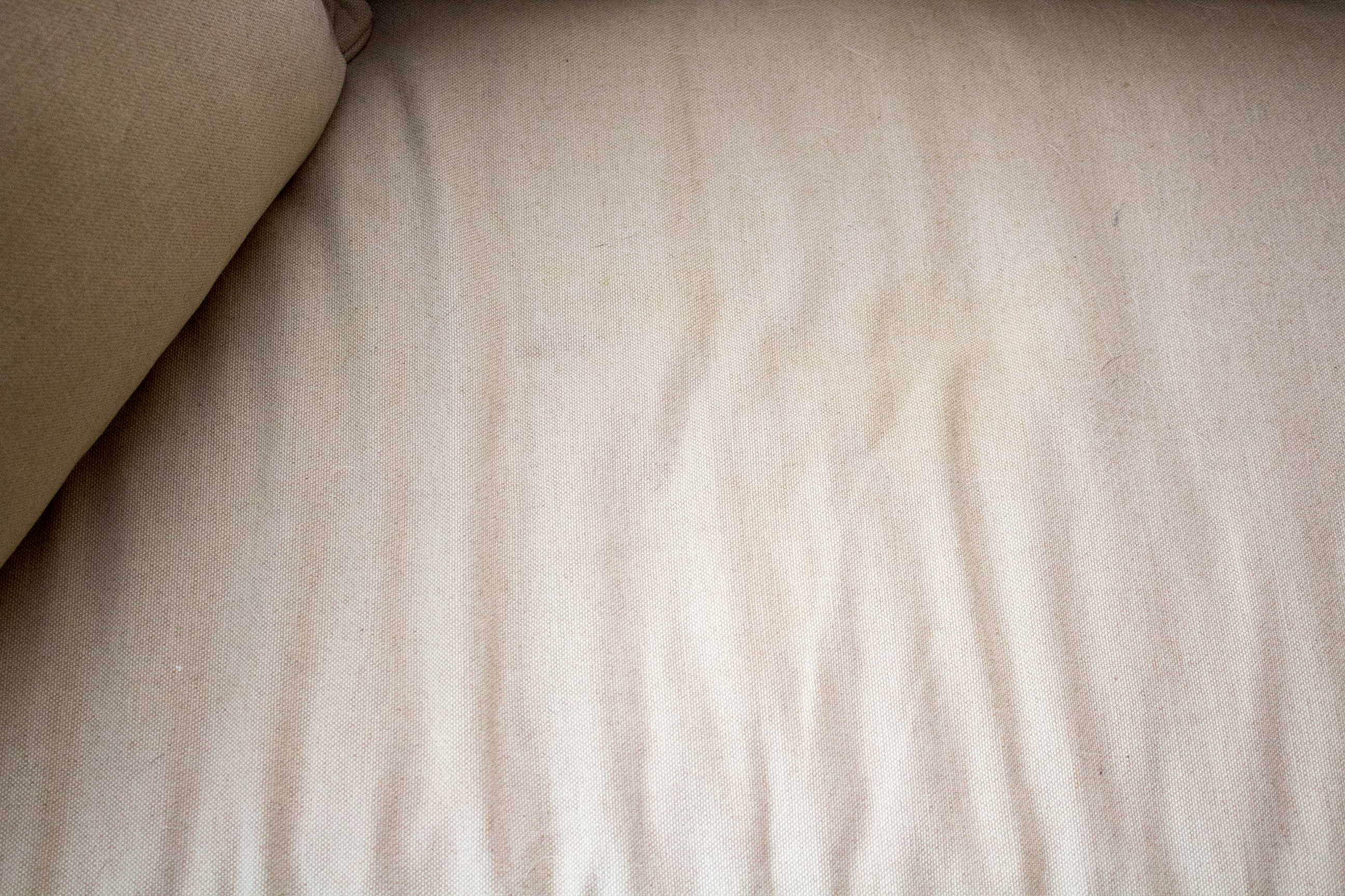 Martha Stewart Signature Canvas Sofa by Bernhardt