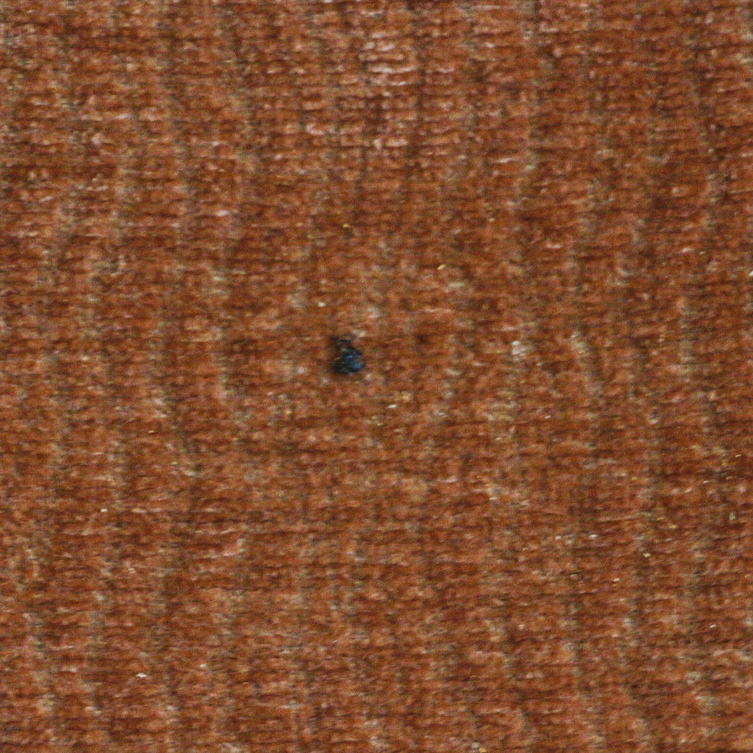 Upholstered Lounge Chair with Ottoman