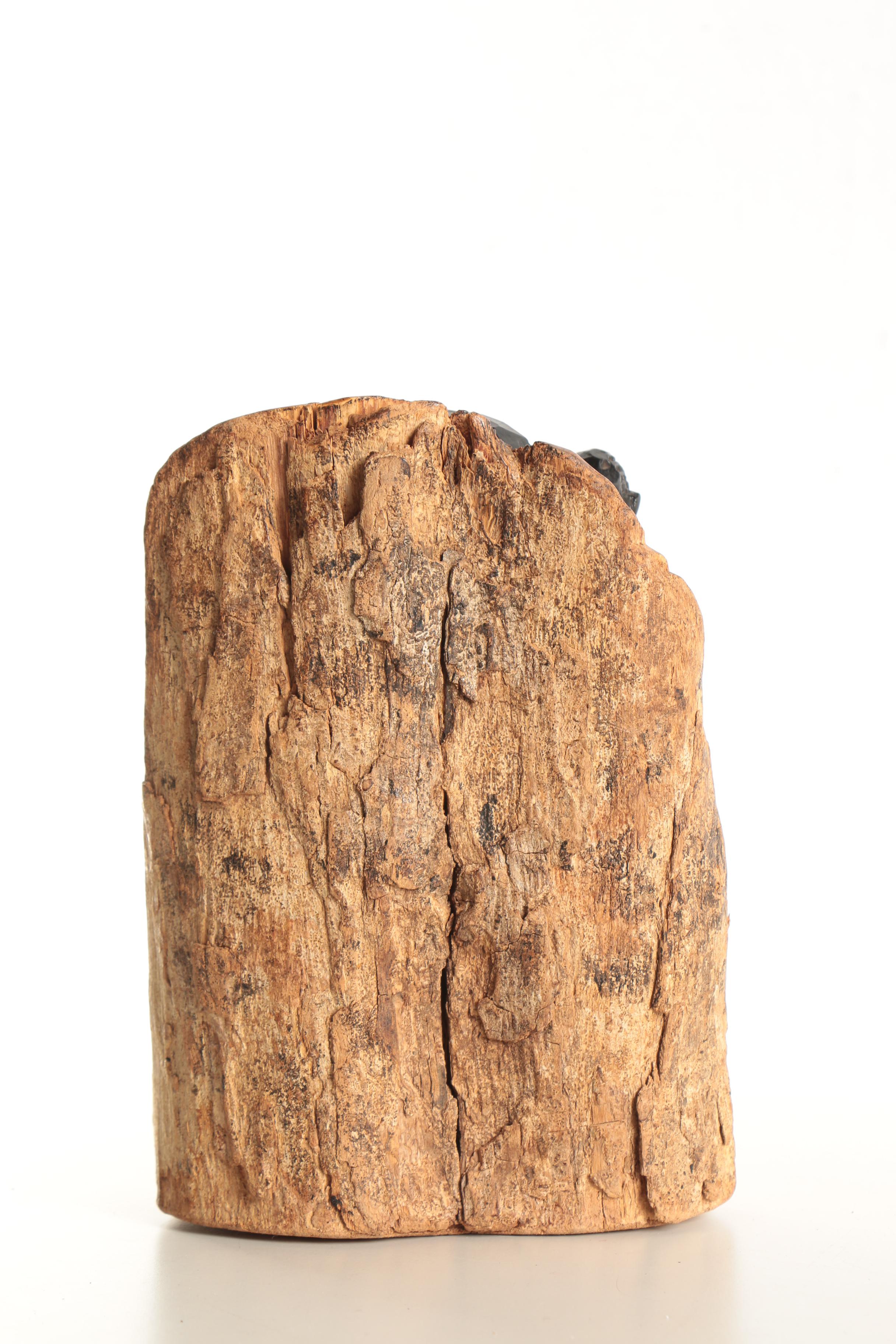 East African Ebony Wood Carving