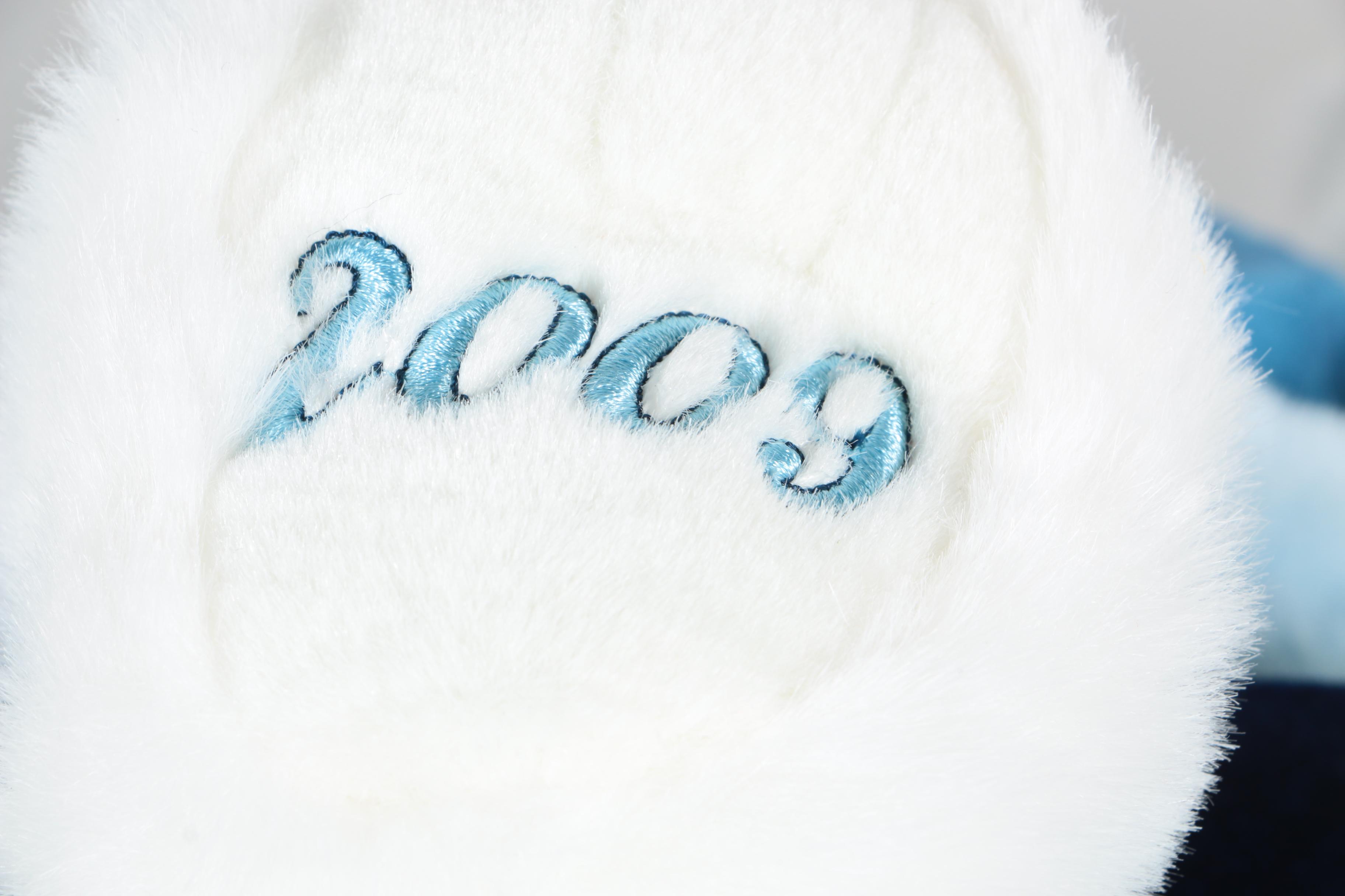 Commemorative Snowflake Teddy Bears