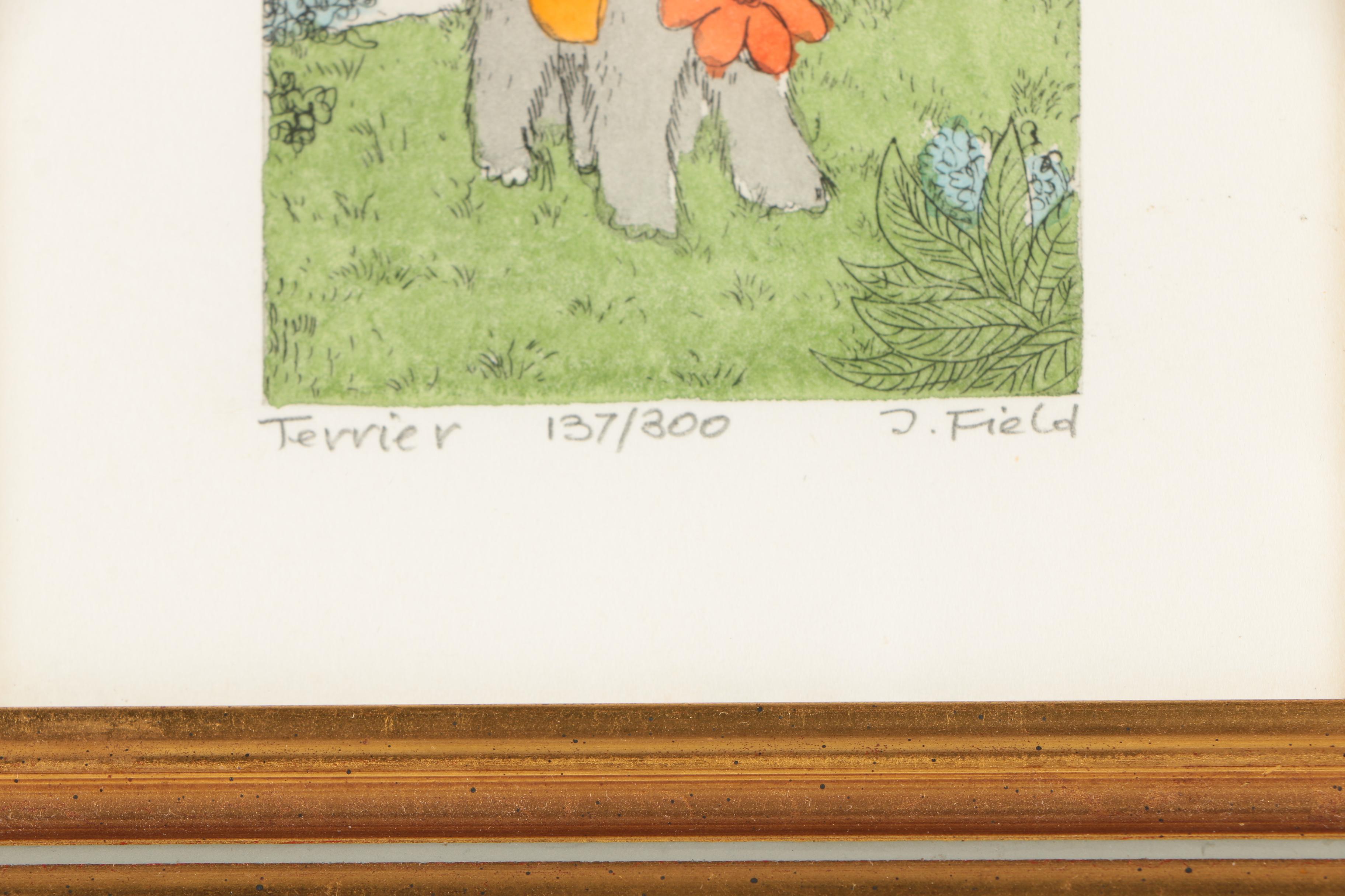 Field Limited Edition Hand Colored Etching "Terrier"