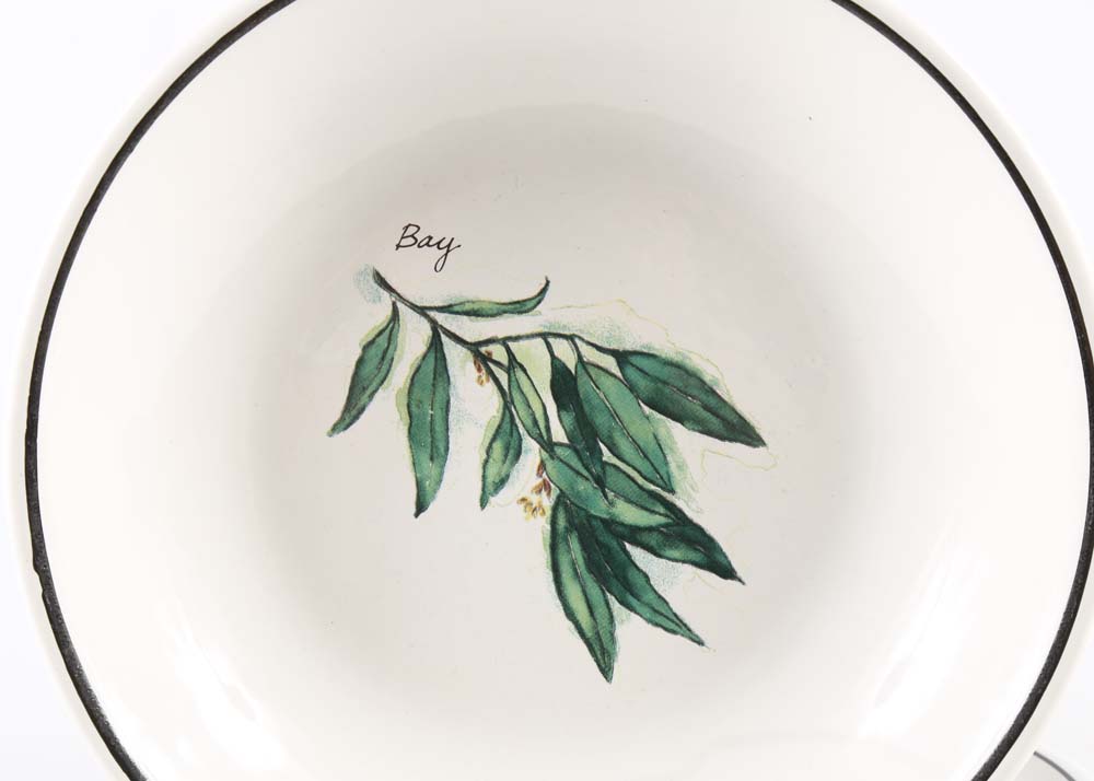 William-Sonoma Ceramic Tableware