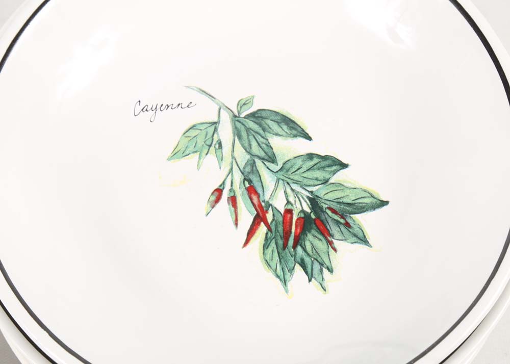 William-Sonoma Ceramic Tableware