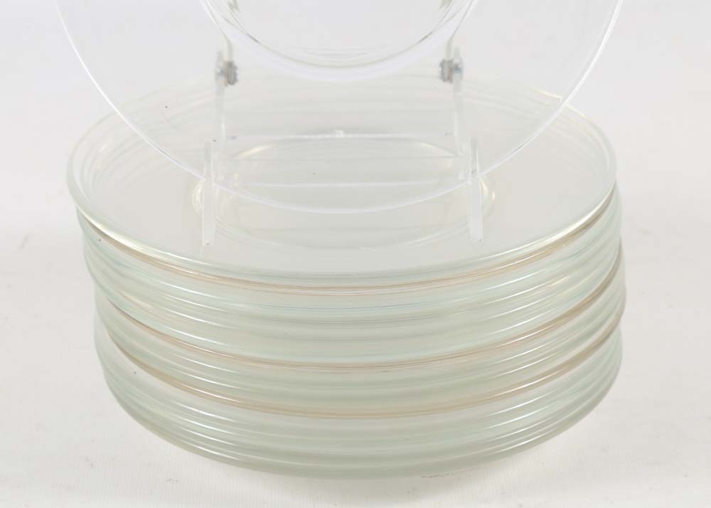 Set of Eighteen Glass Plates