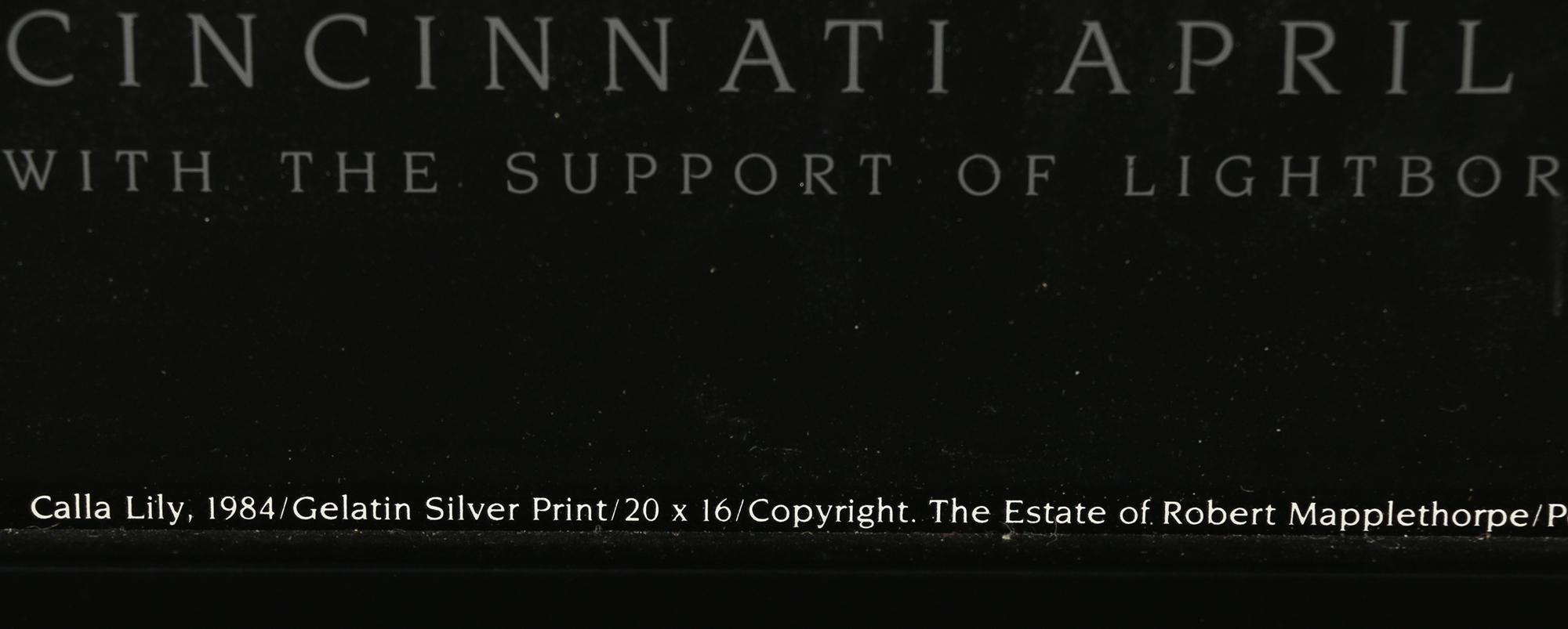 Robert Mapplethorpe Exhibition Poster