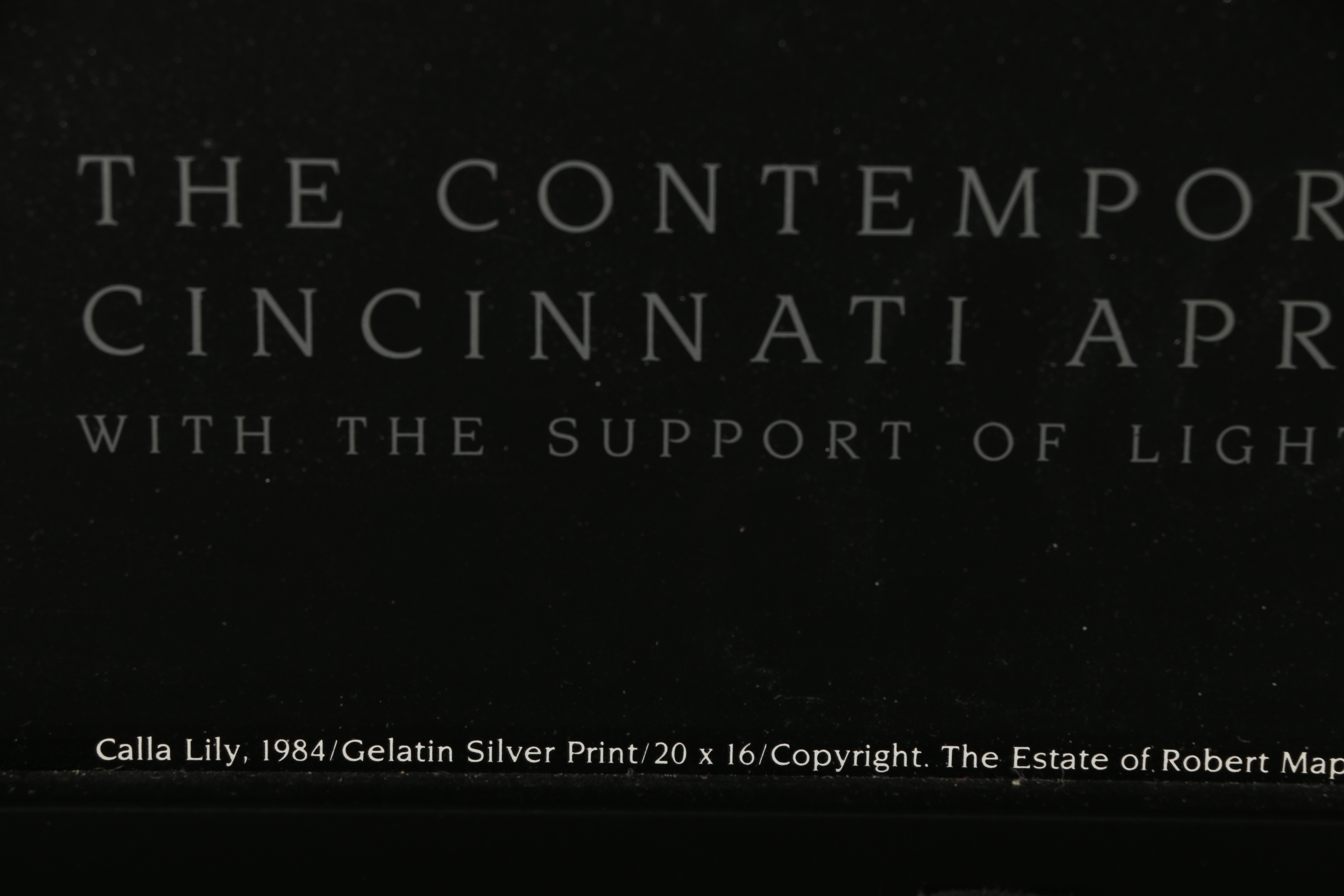 Robert Mapplethorpe Exhibition Poster