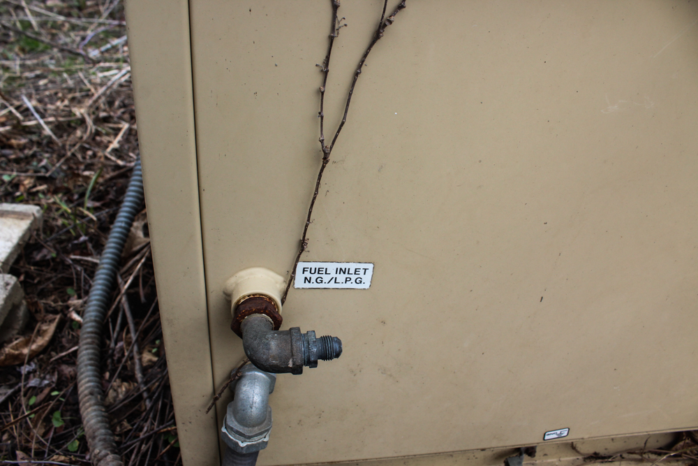 Guardian by Generac 8000 Watt Propane Generator