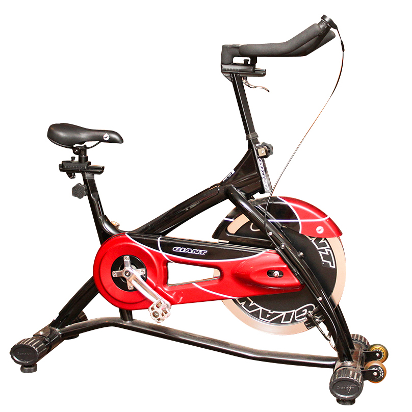 Giant Brand Stationary Exercise Bike EBTH