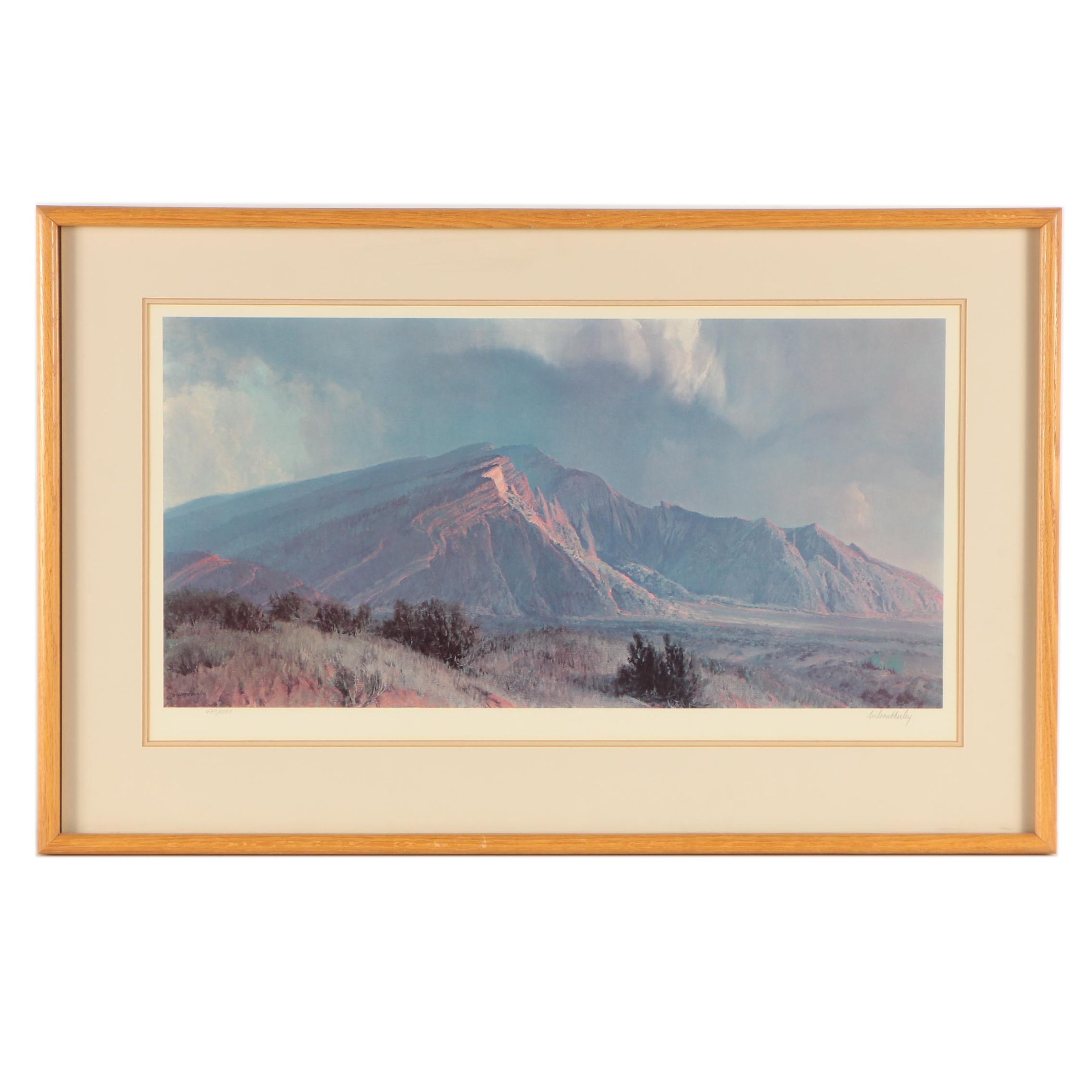 Wilson Hurley Limited Edition Offset Lithographic Landscape Print