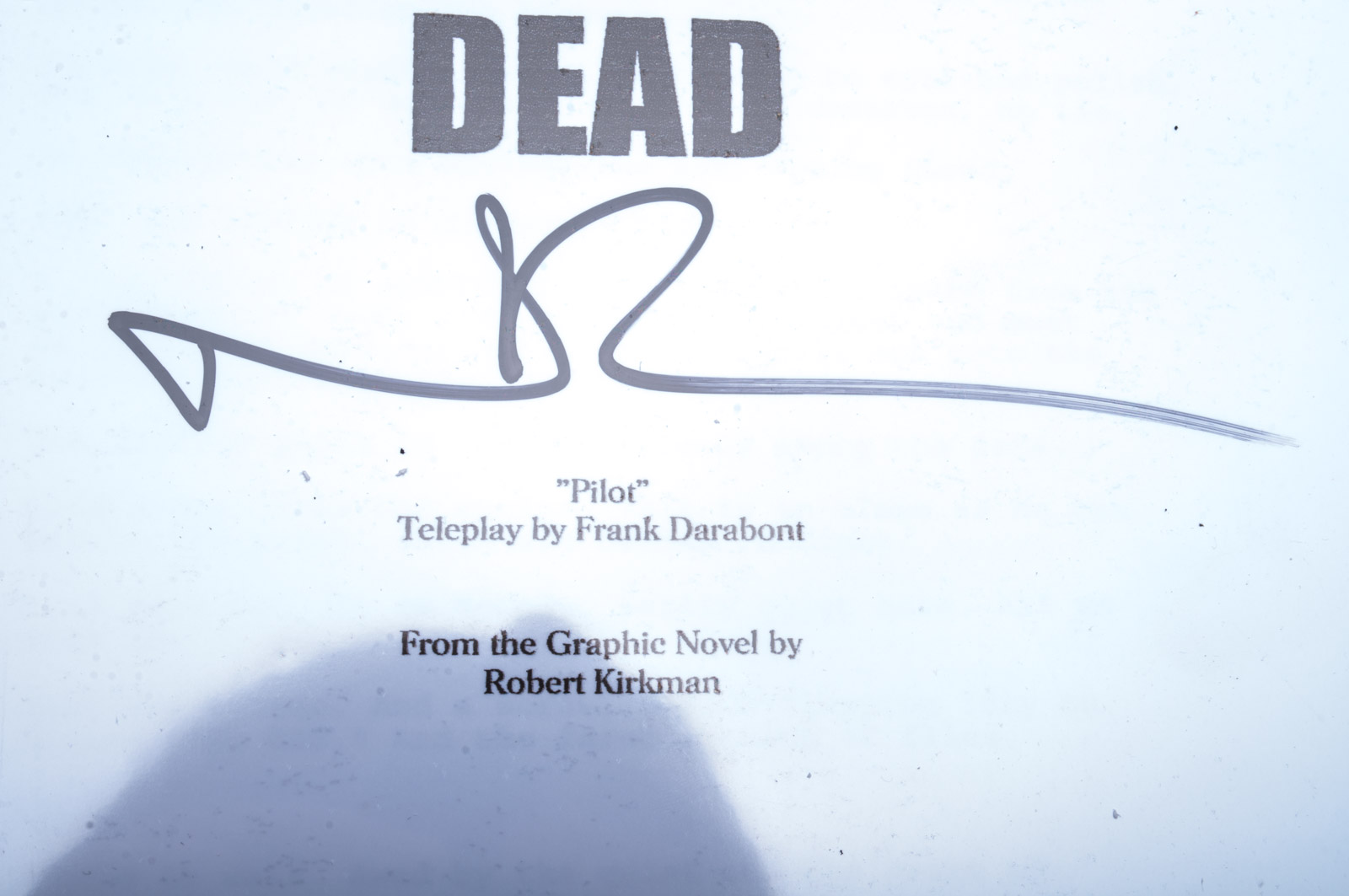 Norman Reedus Signed "Walking Dead" Script with COA