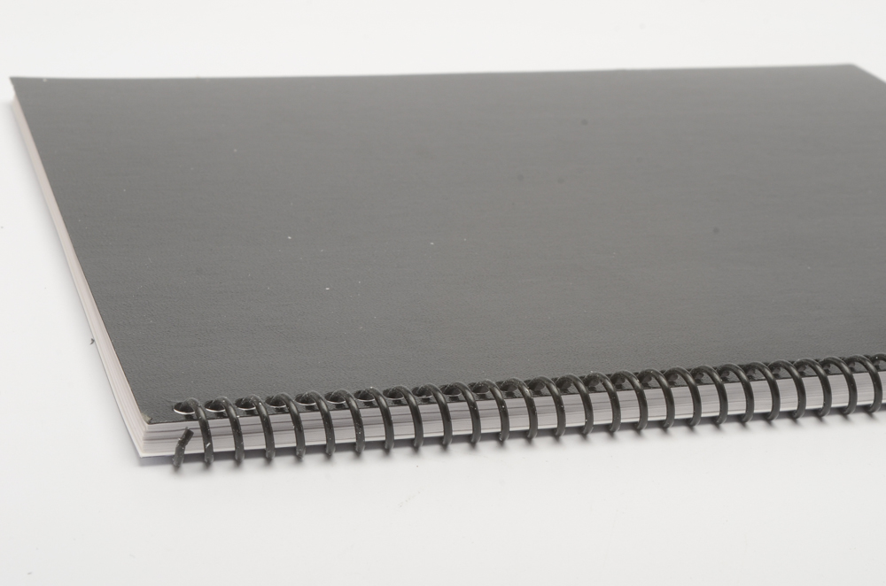 Norman Reedus Signed "Walking Dead" Script with COA