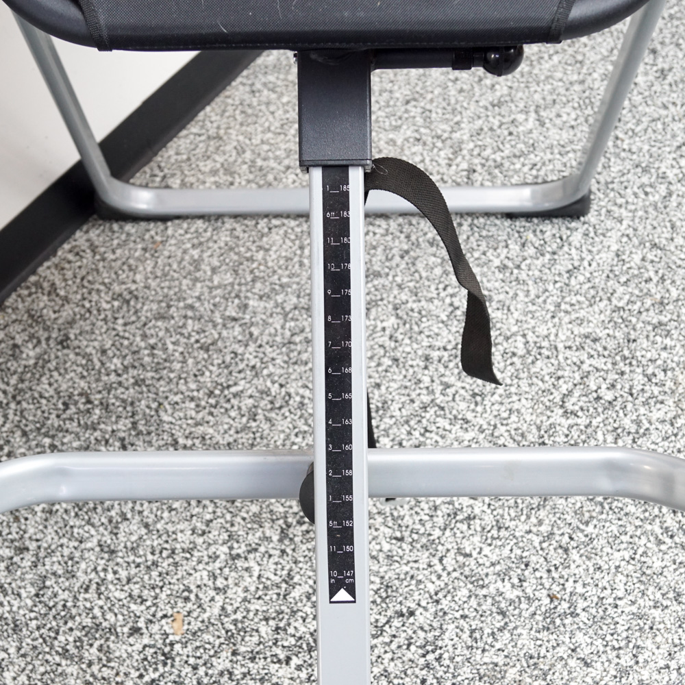 Life Gear Inversion Table