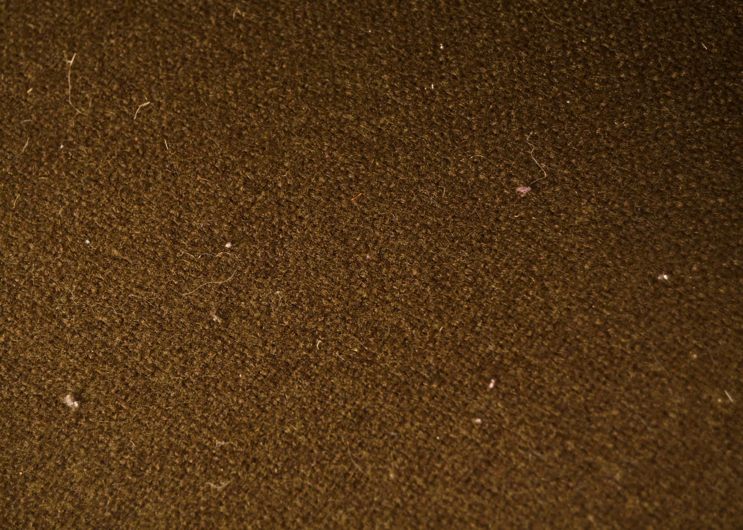 Mid Century Modern Barrel Back Chairs