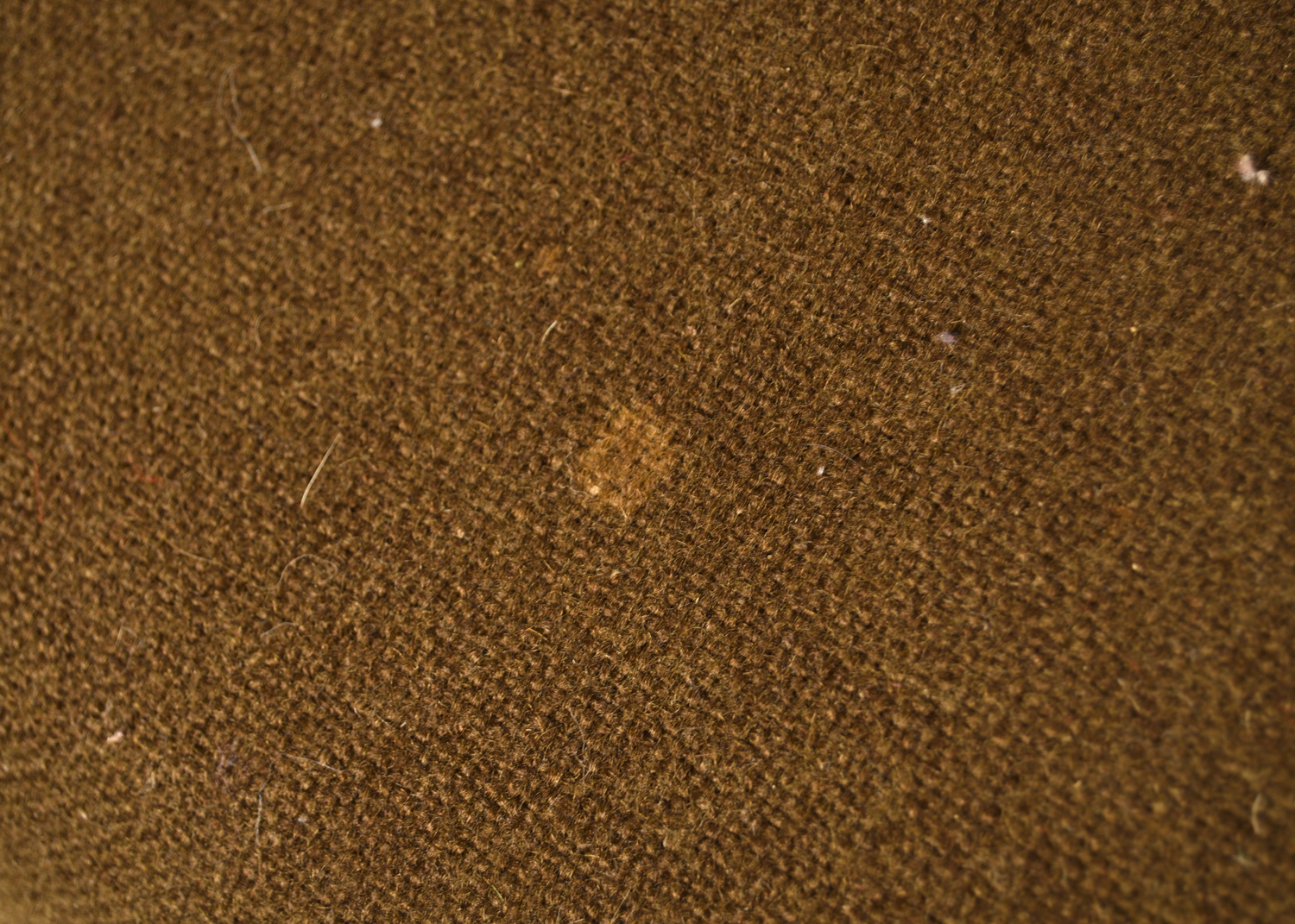 Mid Century Modern Barrel Back Chairs