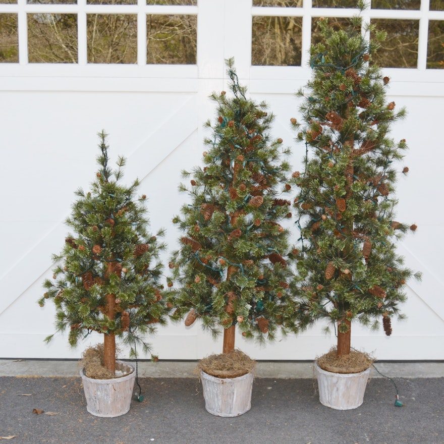 Three Illuminated Faux Christmas Trees