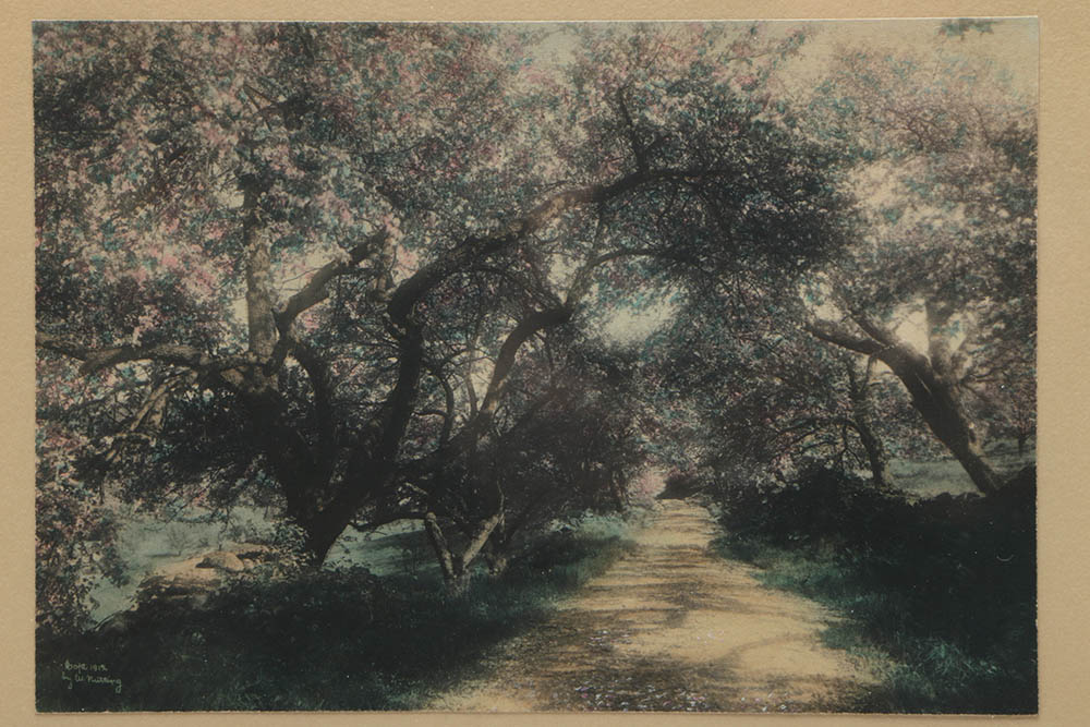 Wallace Nutting Hand-Colored Photograph "Honeymoon Drive"