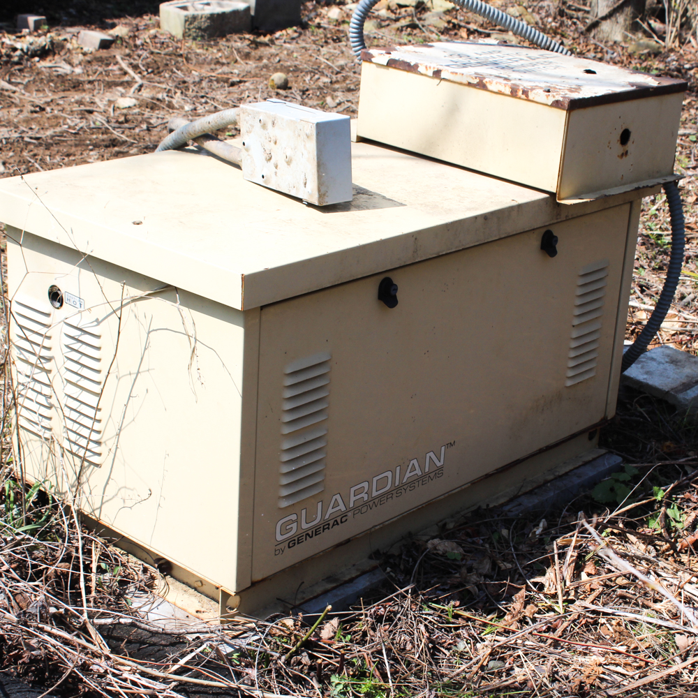 Guardian by Generac 8000 Watt Propane Generator