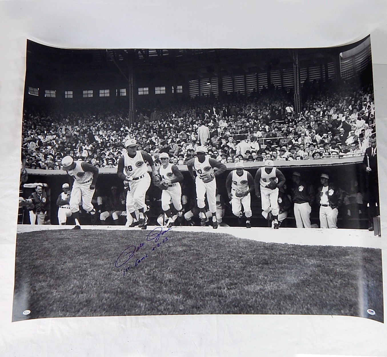 PSA Authenticated Pete Rose Signed First Game Photo w/COA