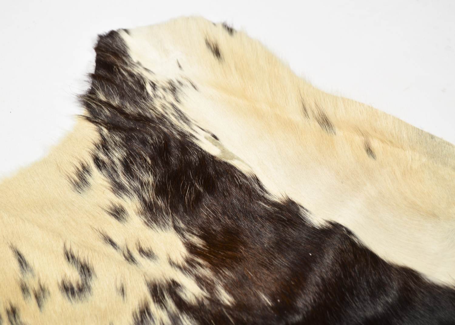 Cow Hide Accent Rug