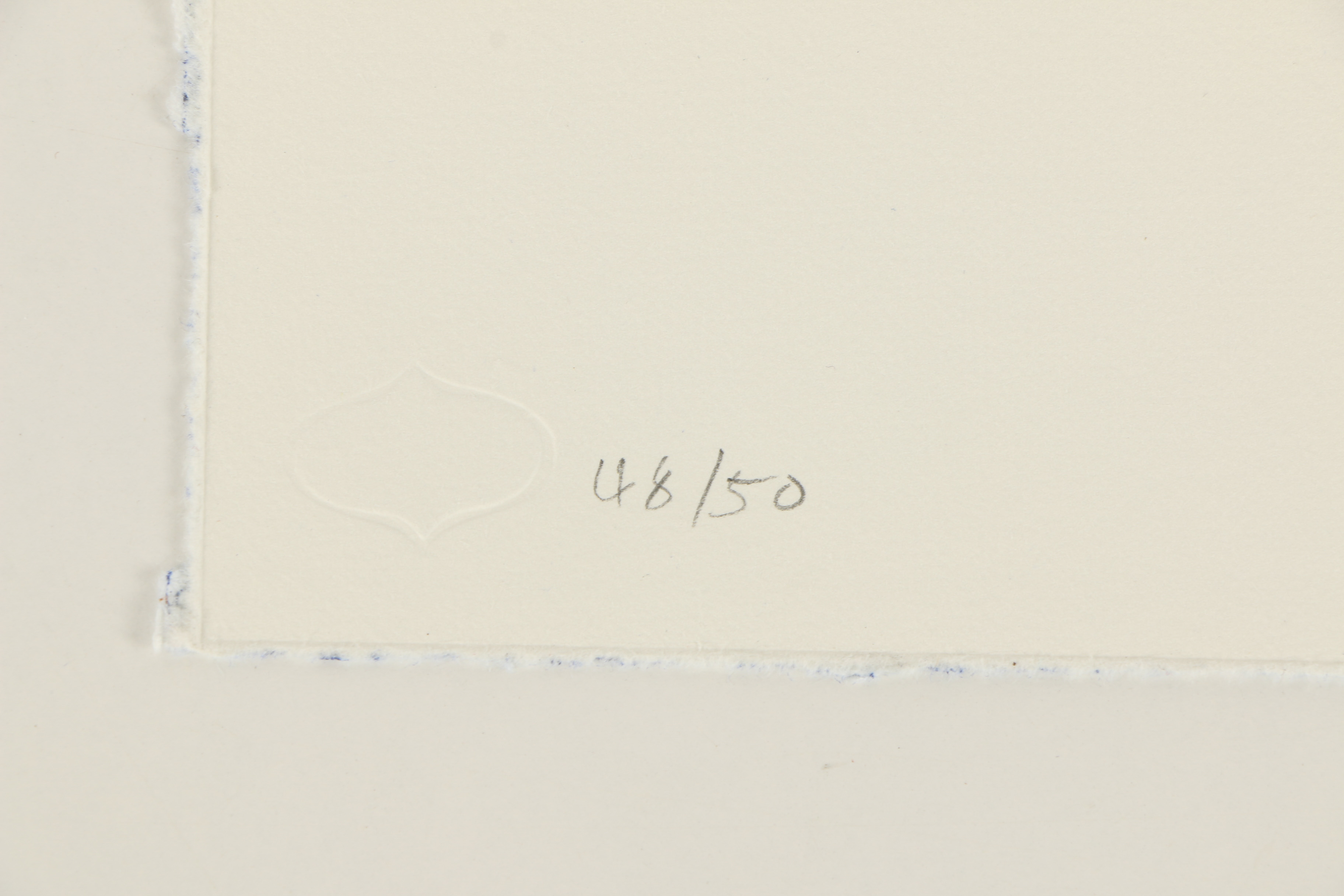 Dasha Shishkin Etching "Mouth Is The Heart of The Face"