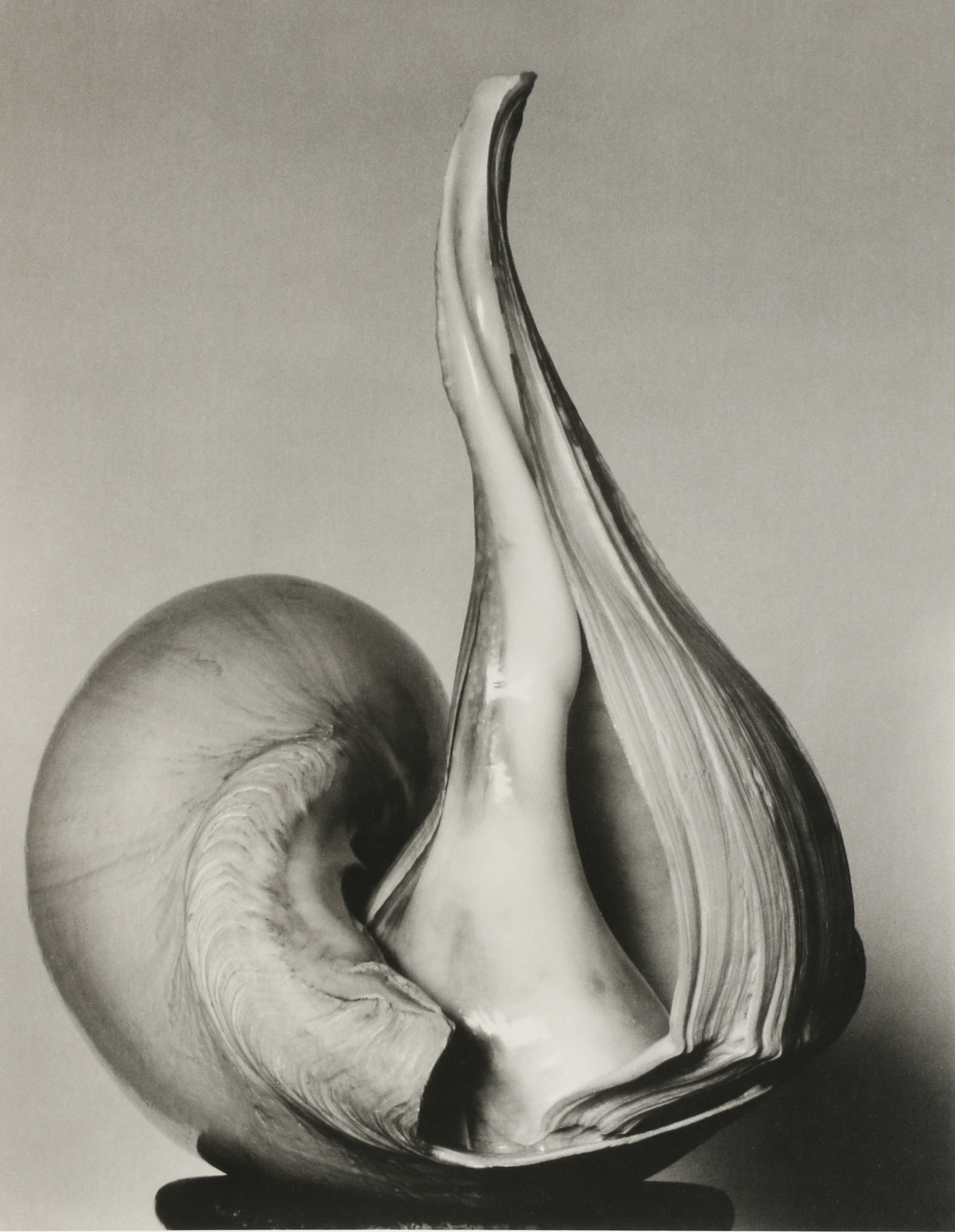 Edward Weston Book "One Hundred Twenty-Five Photographs"