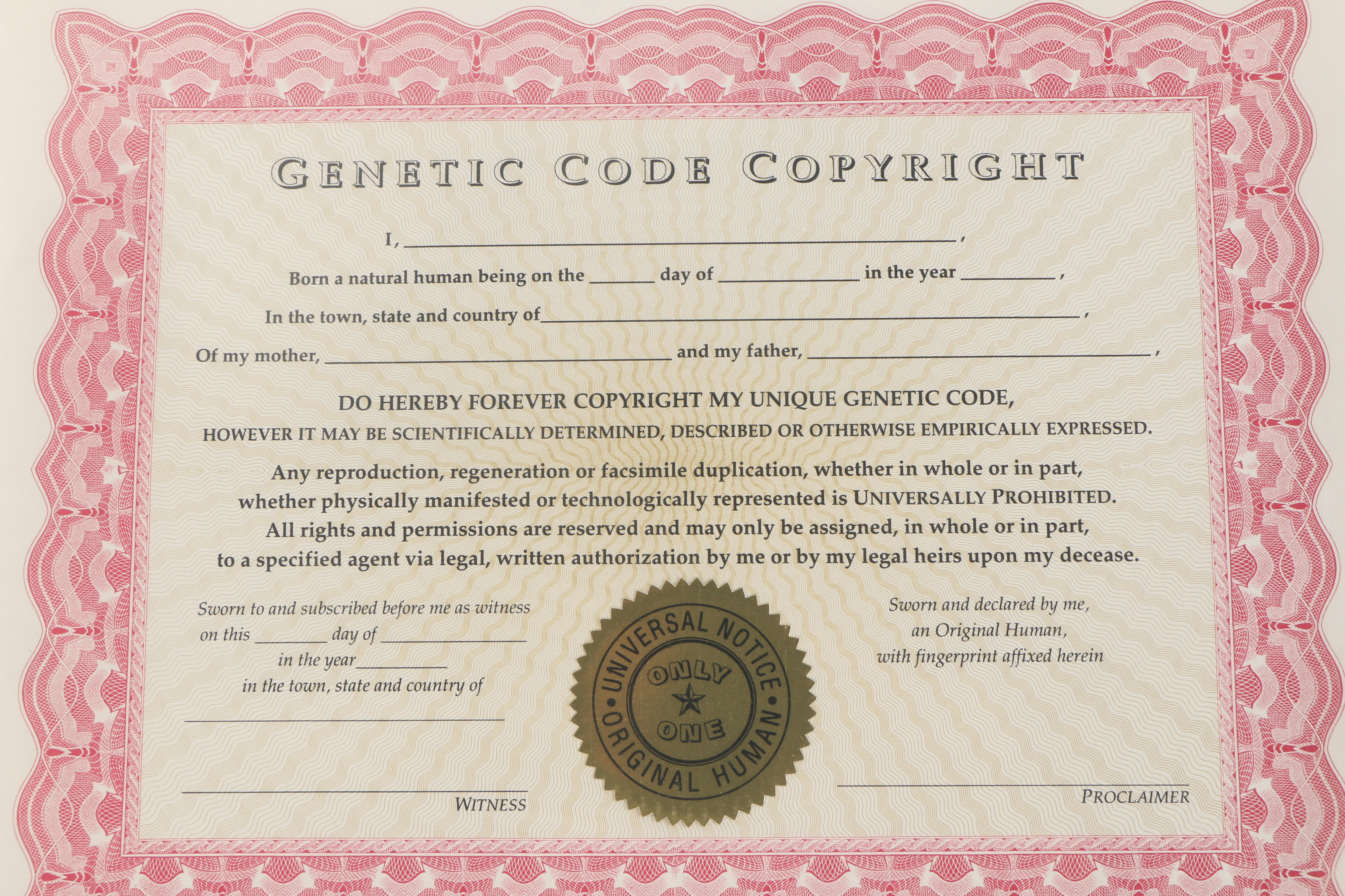 "Performing Objects" Assemblage