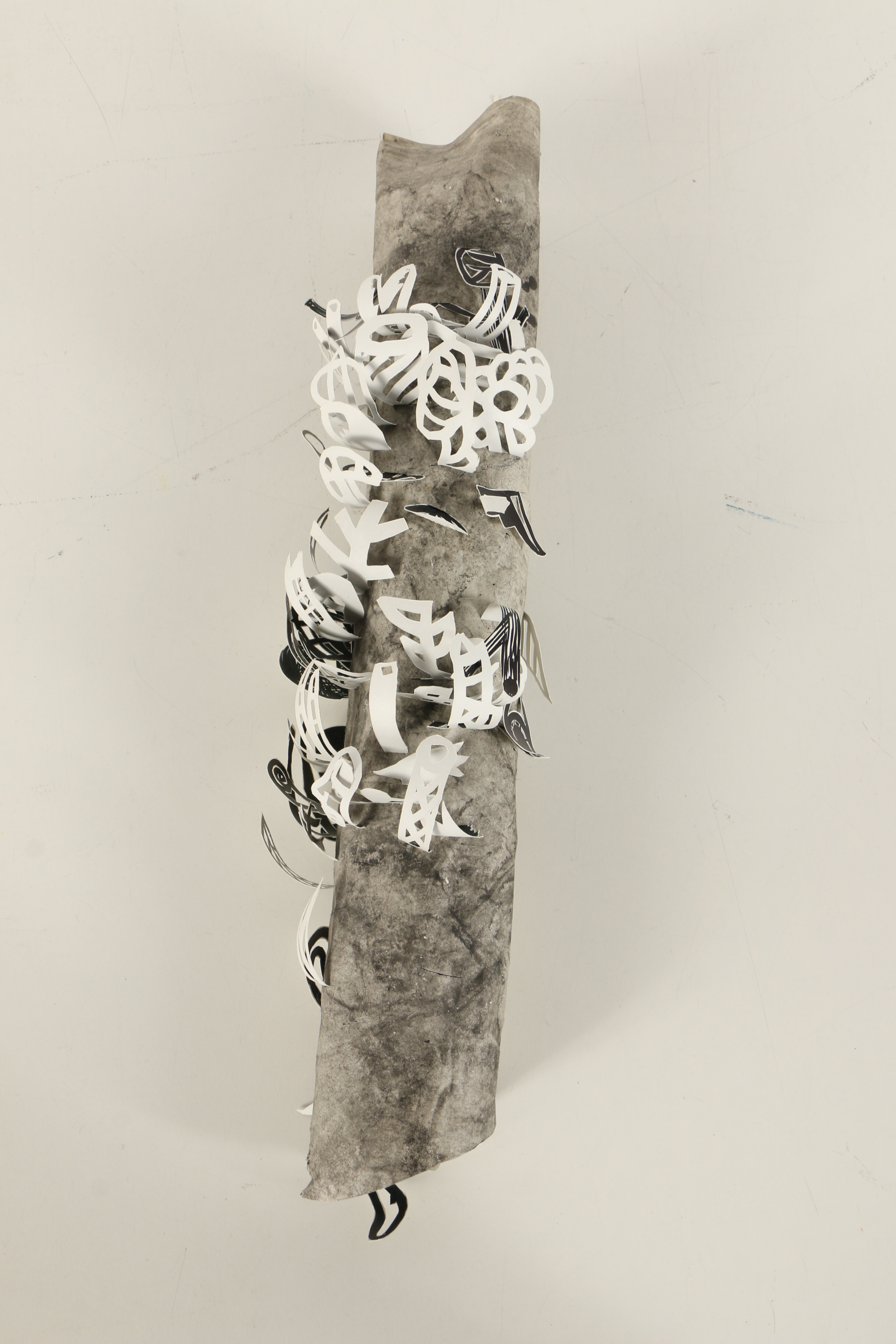 Mark Fox Paper Sculpture "Oddment (Leadpipe with Disease)"