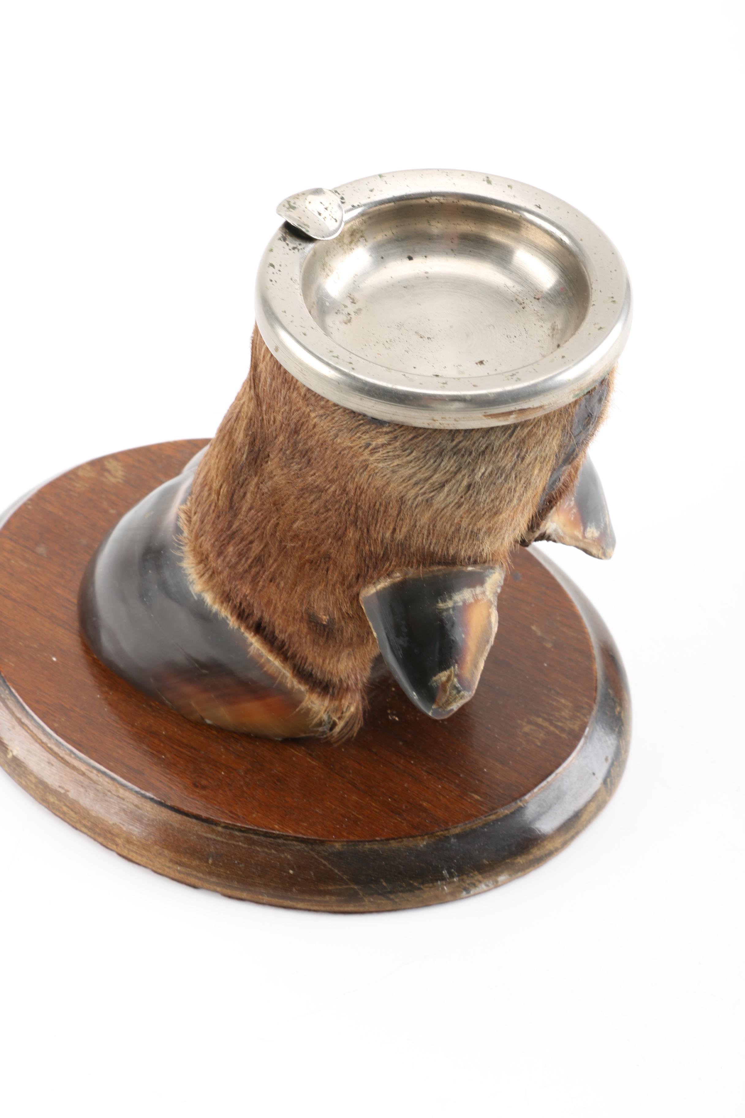 Bovine Hoof Ash Receiver