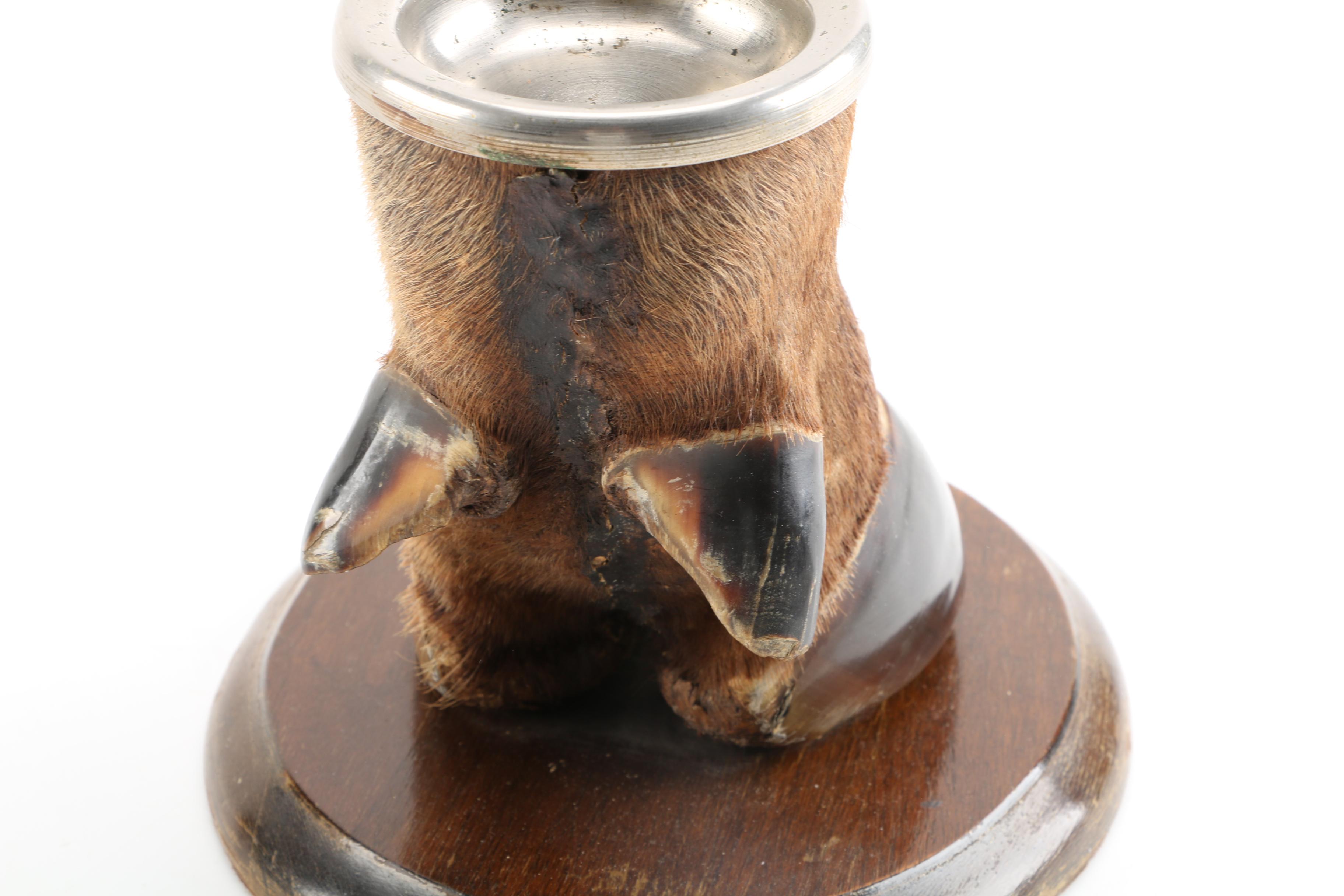 Bovine Hoof Ash Receiver