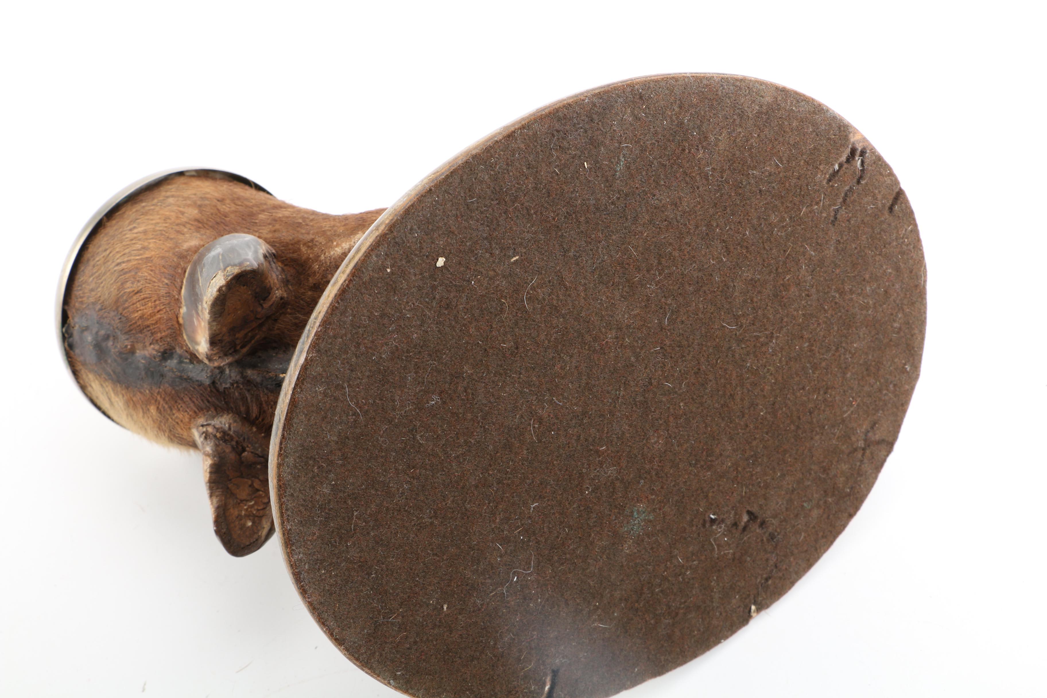 Bovine Hoof Ash Receiver